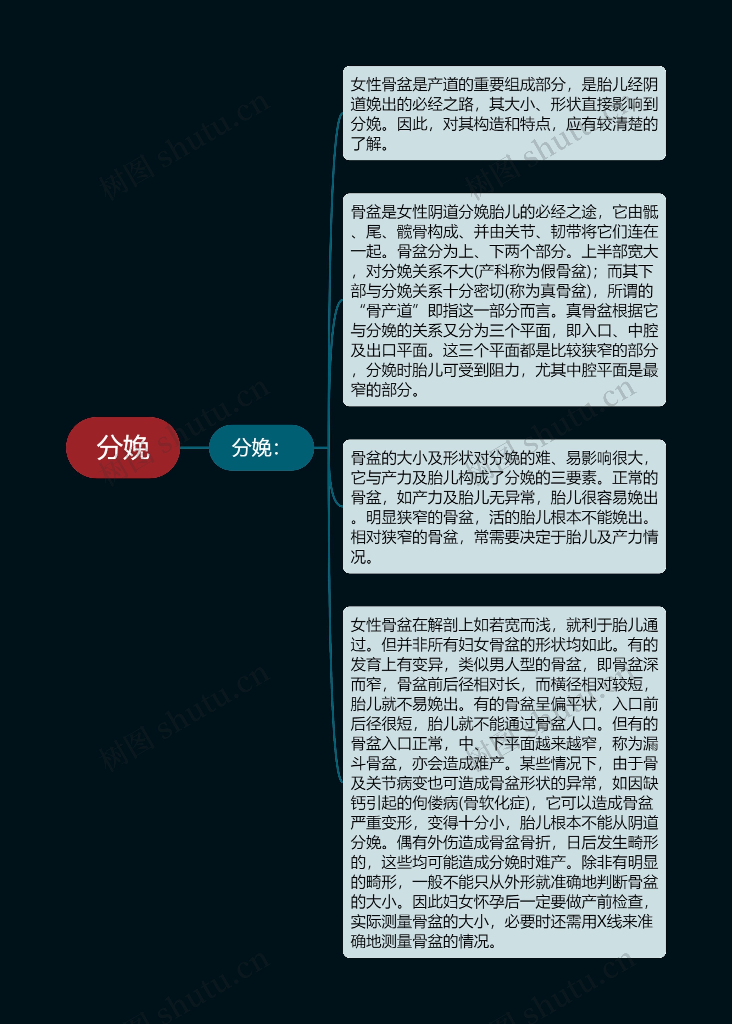 分娩思维导图