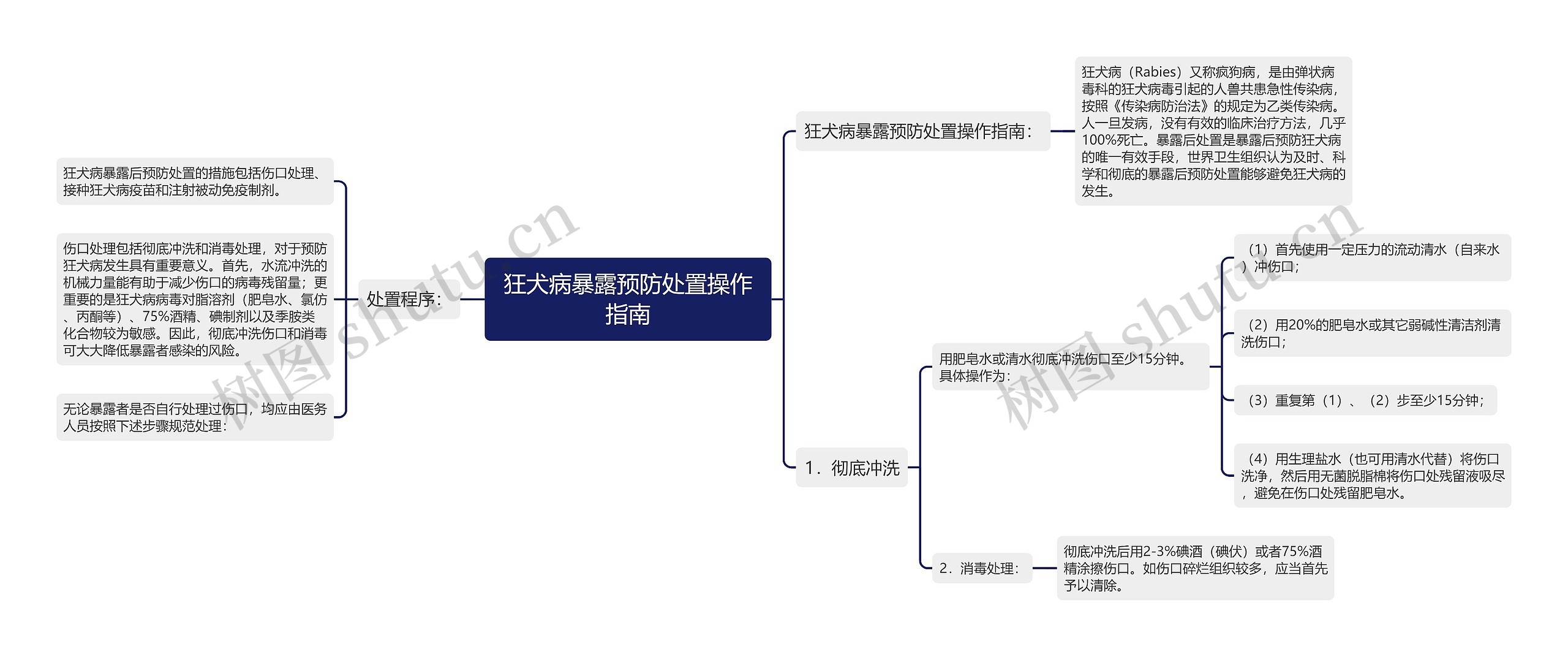 狂犬病暴露预防处置操作指南思维导图