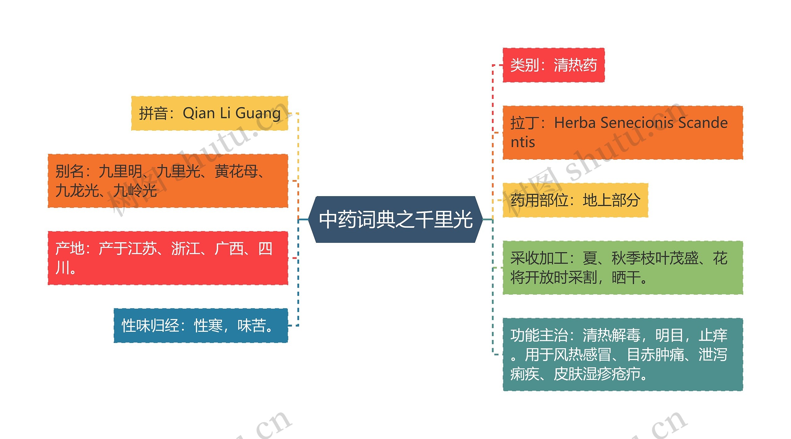 中药词典之千里光思维导图