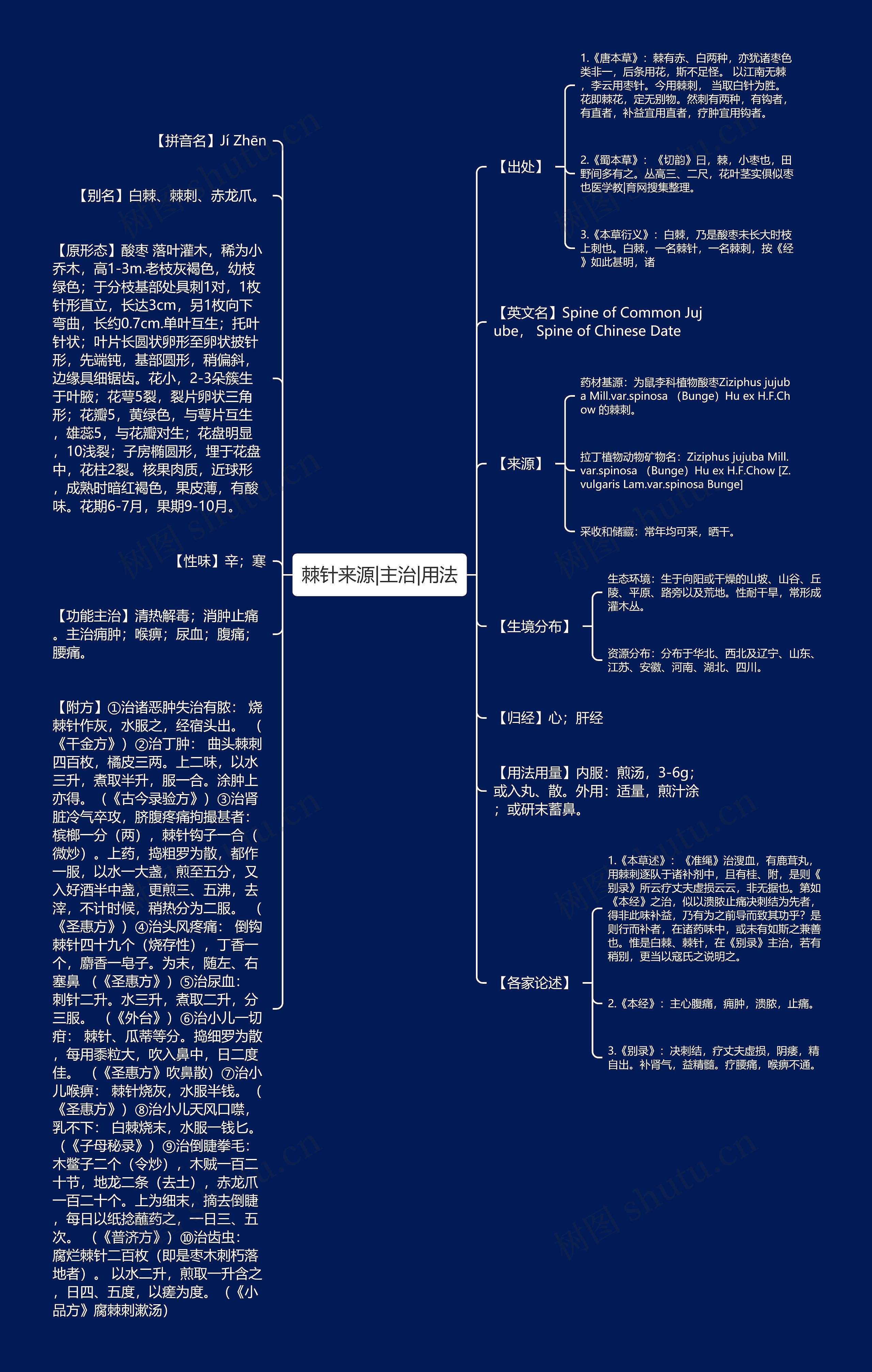 棘针来源|主治|用法思维导图