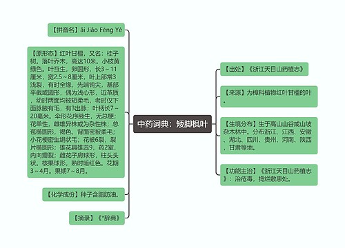 中药词典：矮脚枫叶