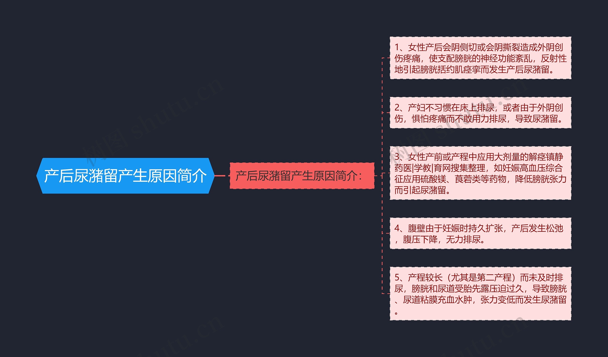 产后尿潴留产生原因简介思维导图