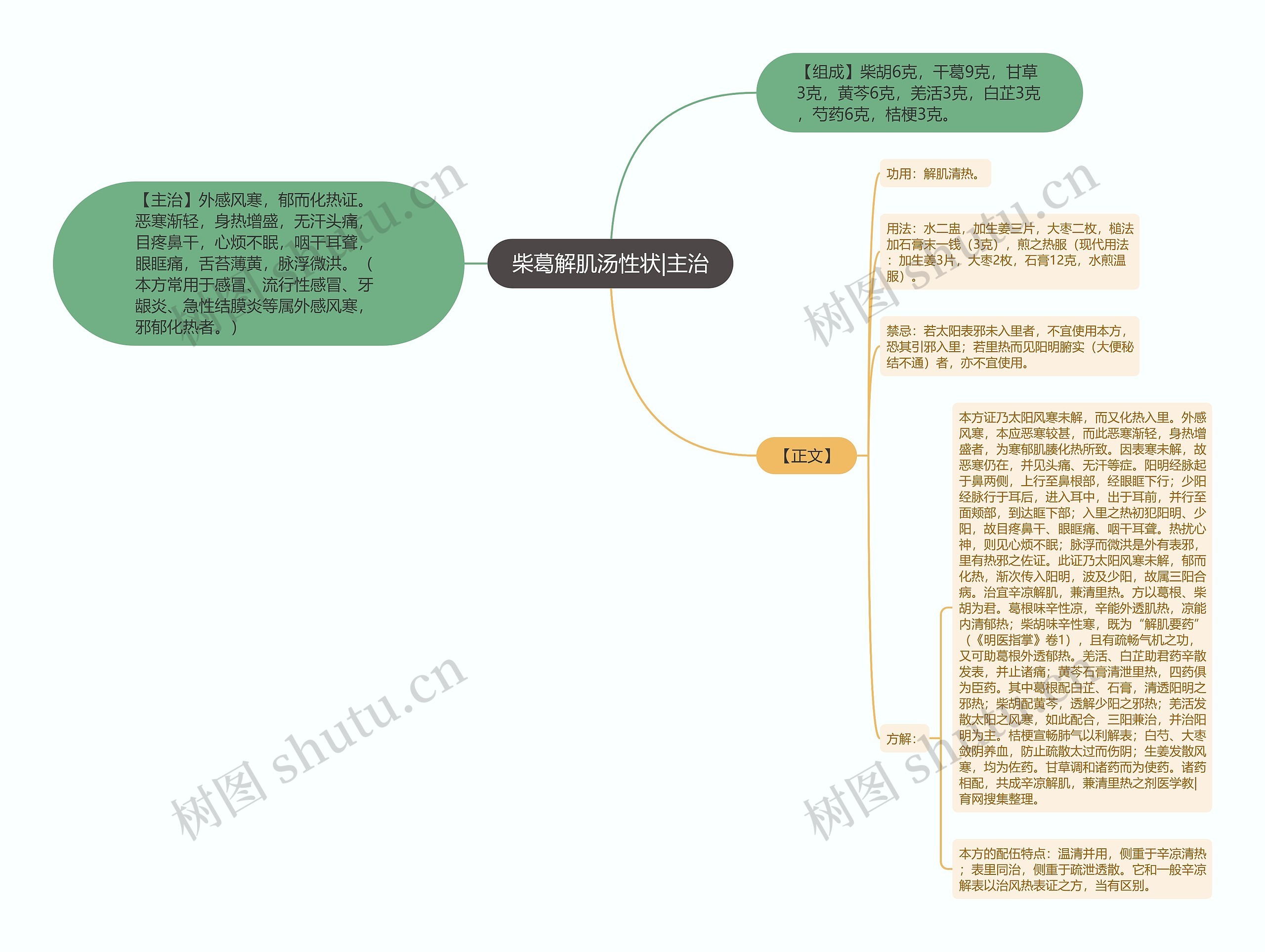 柴葛解肌汤性状|主治思维导图