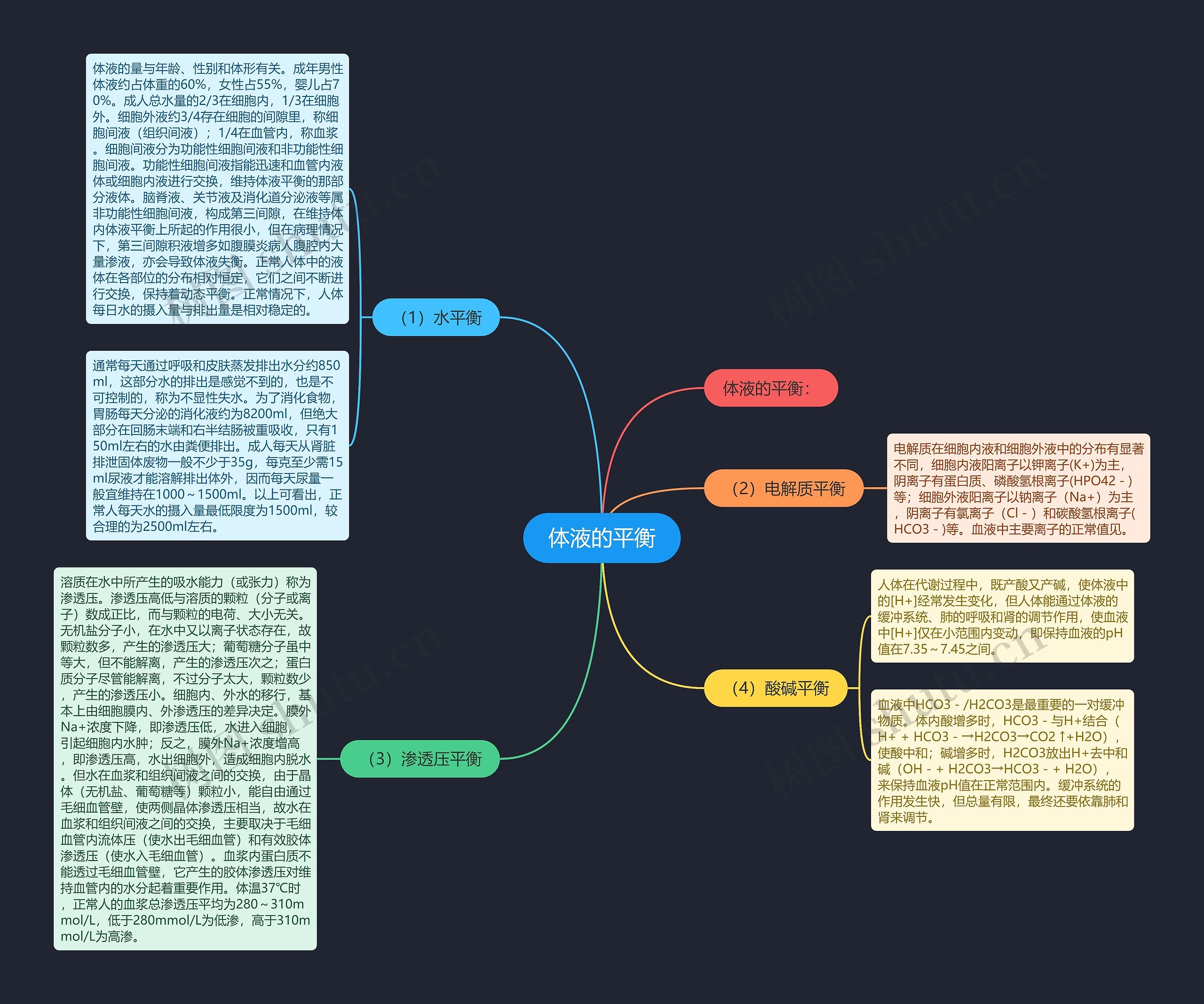 体液的平衡 体液的平衡