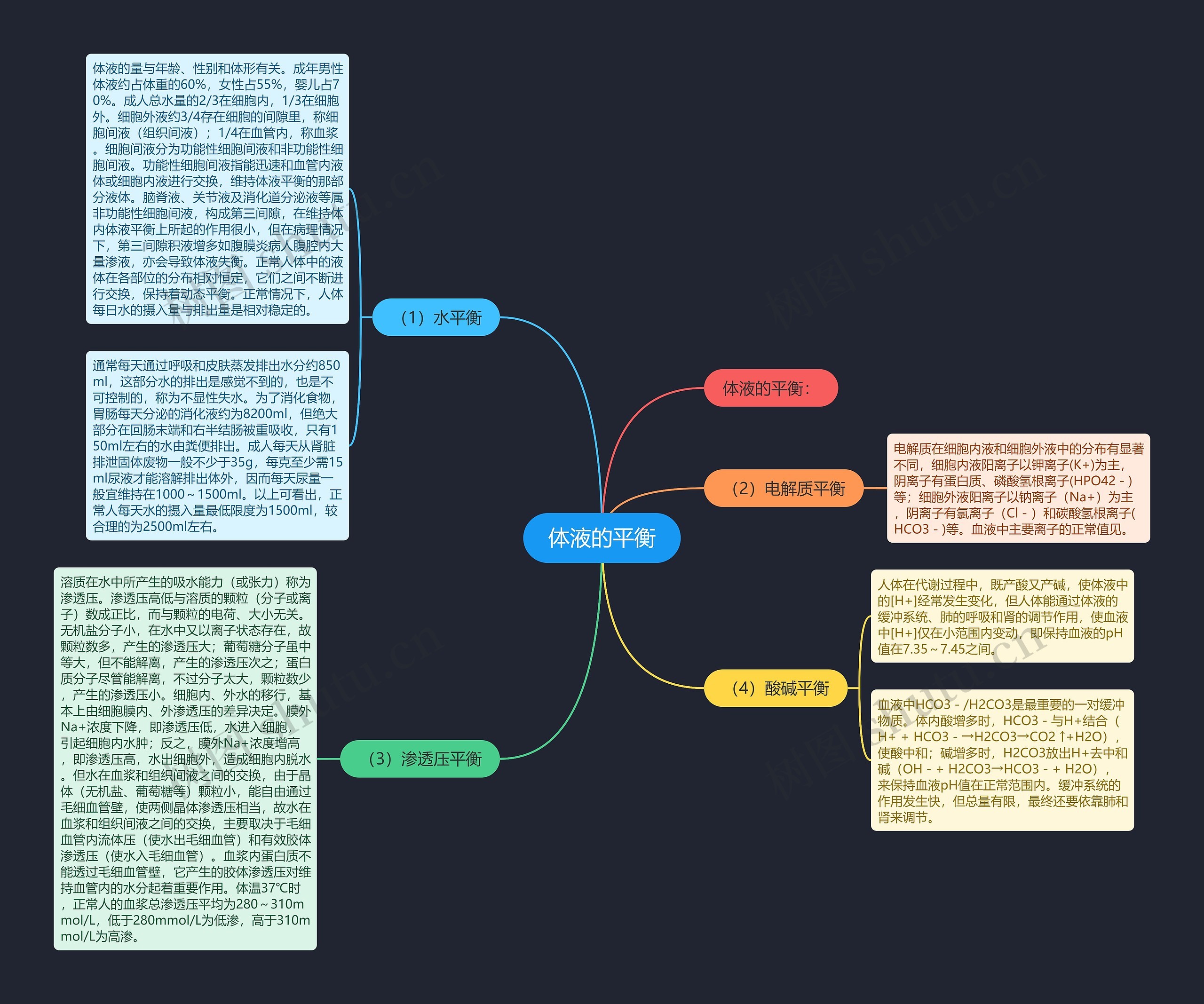 体液的平衡思维导图