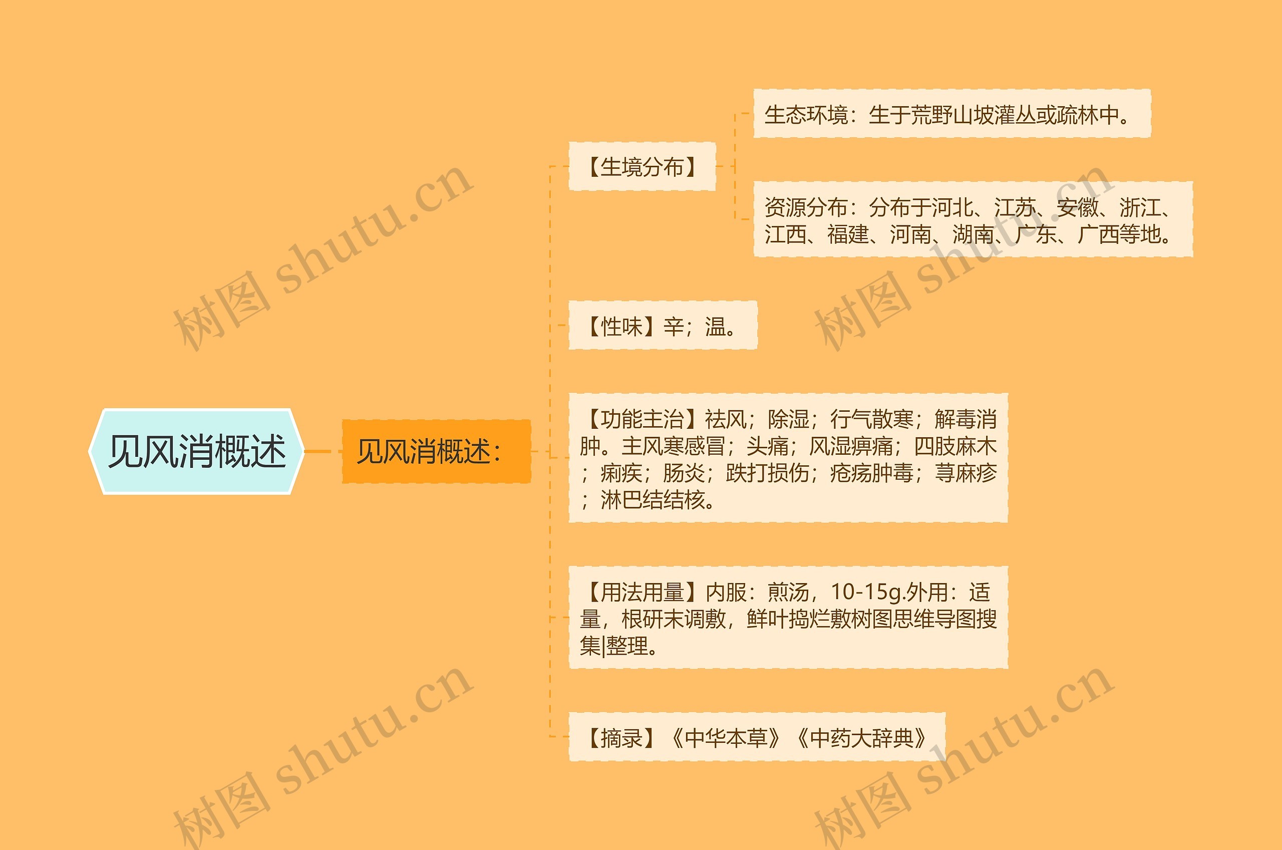 见风消概述思维导图