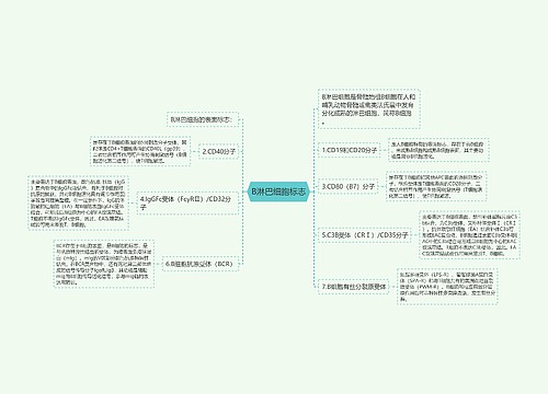 B淋巴细胞标志