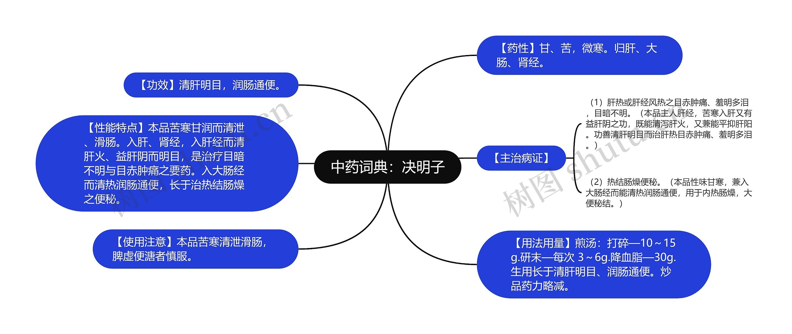 中药词典：决明子思维导图