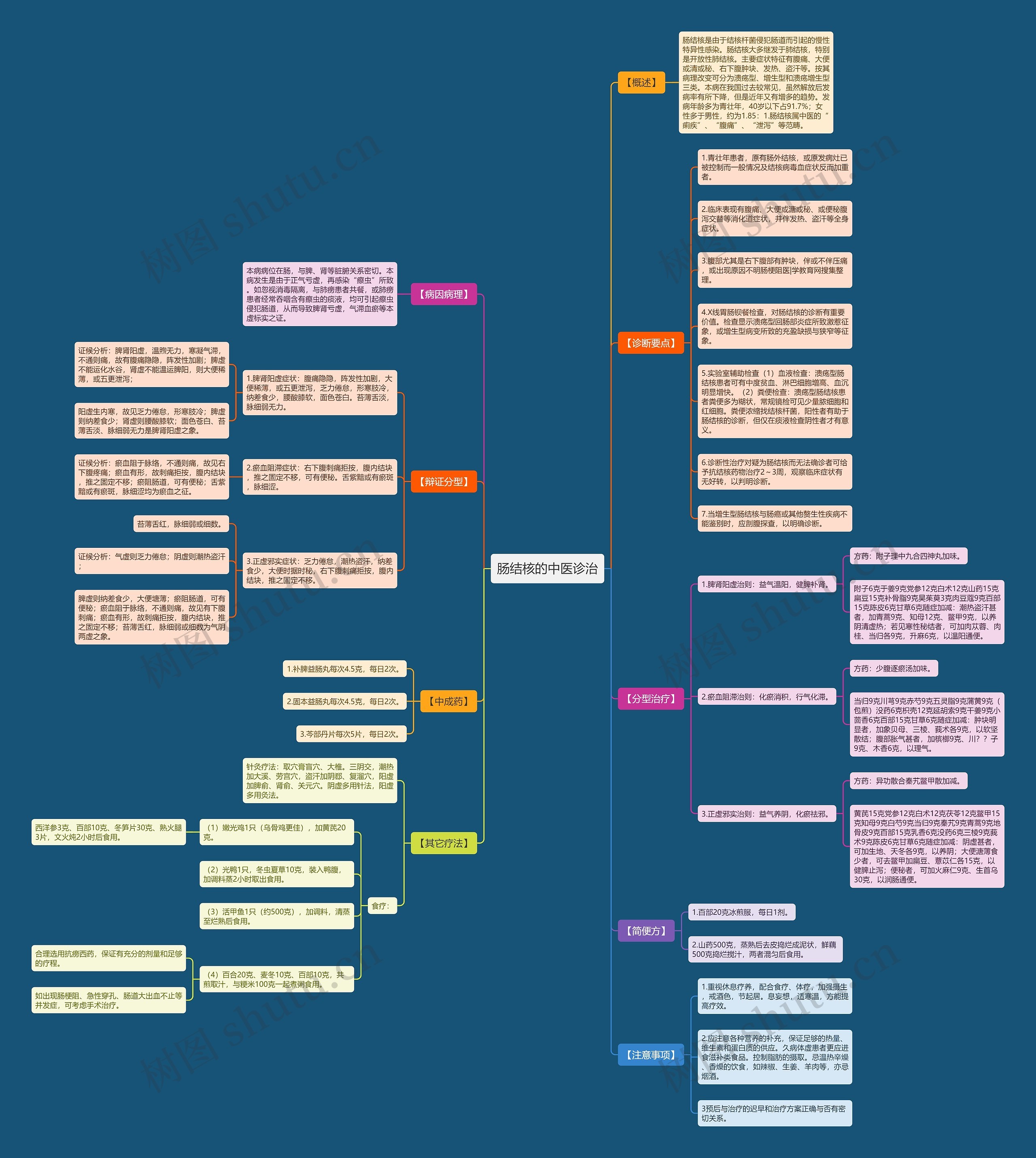 肠结核的中医诊治思维导图