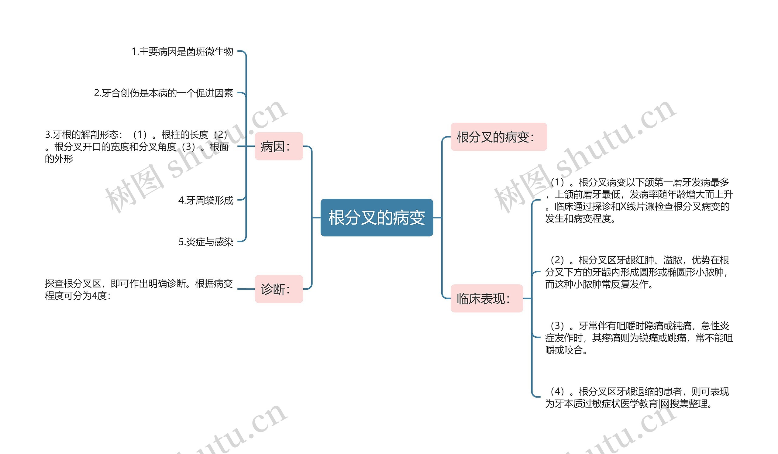 根分叉的病变思维导图