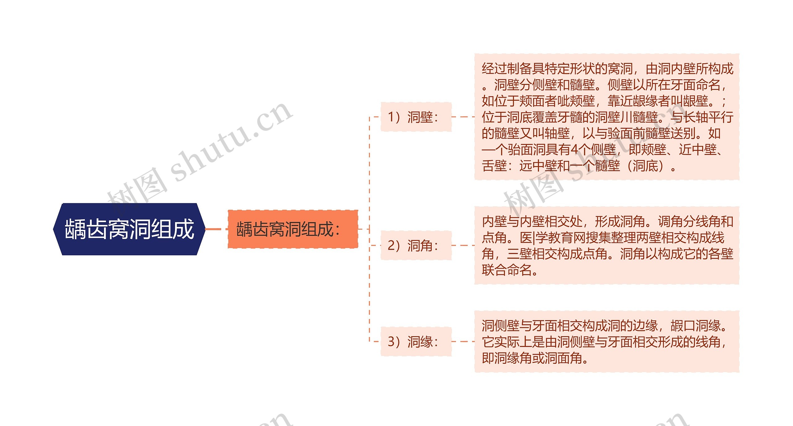 龋齿窝洞组成