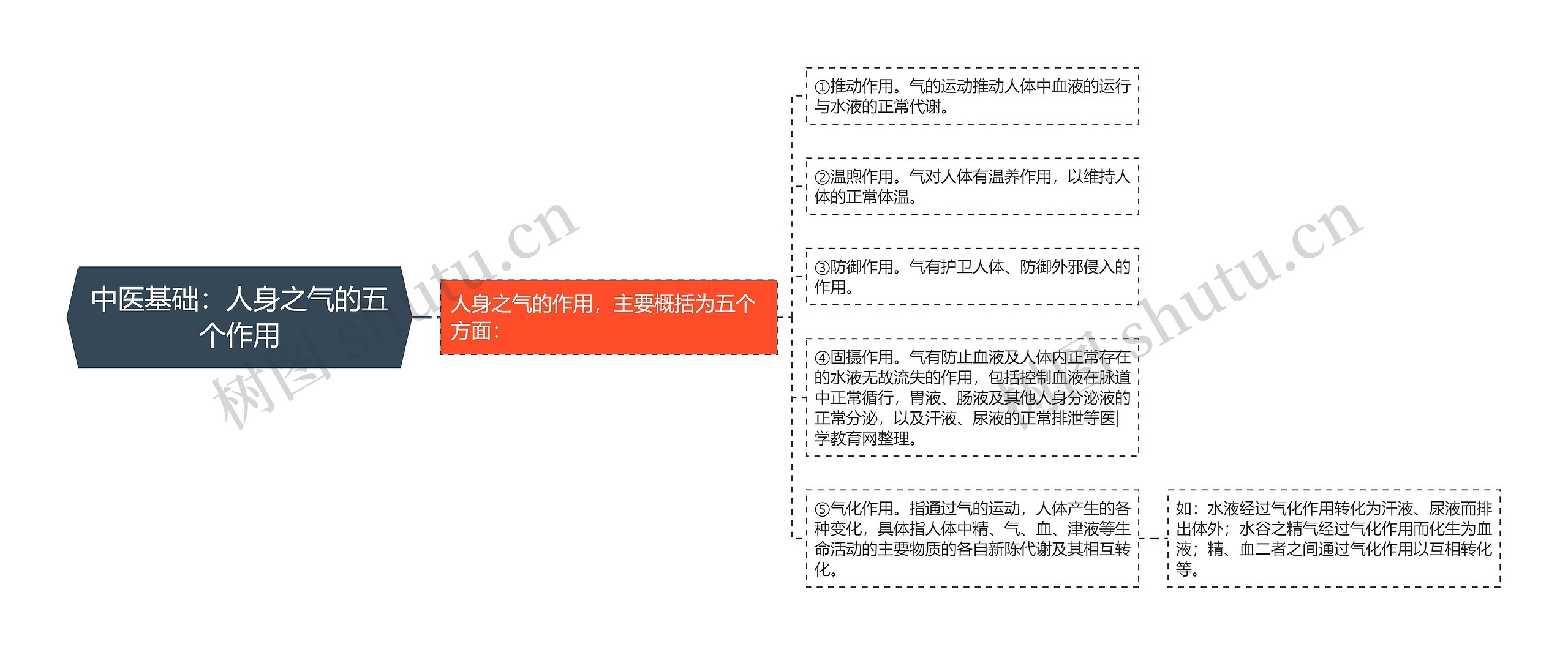 中医基础:人身之气的五个作用 中医基础:人身之气的五个作用