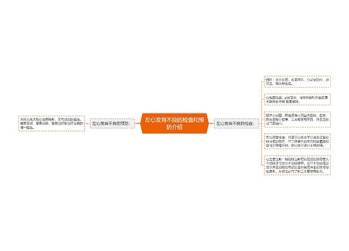 左心发育不良的检查和预防介绍