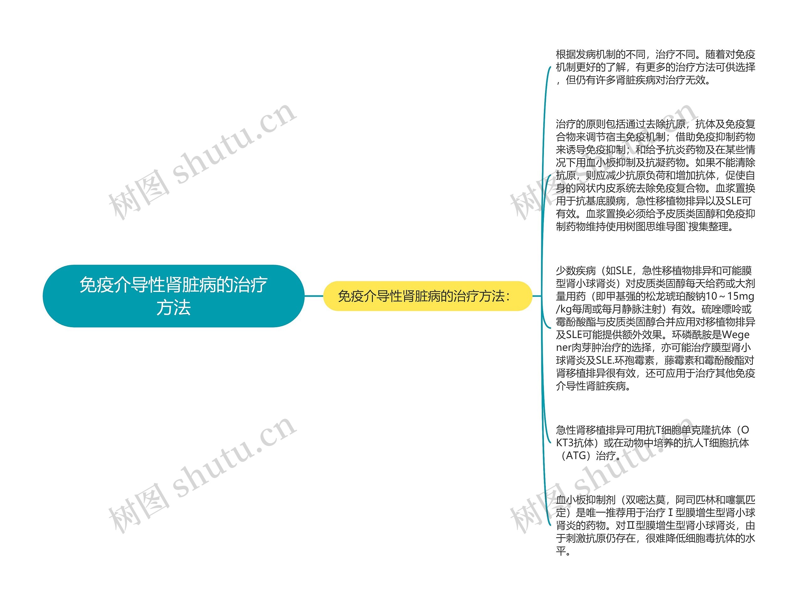 免疫介导性肾脏病的治疗方法思维导图