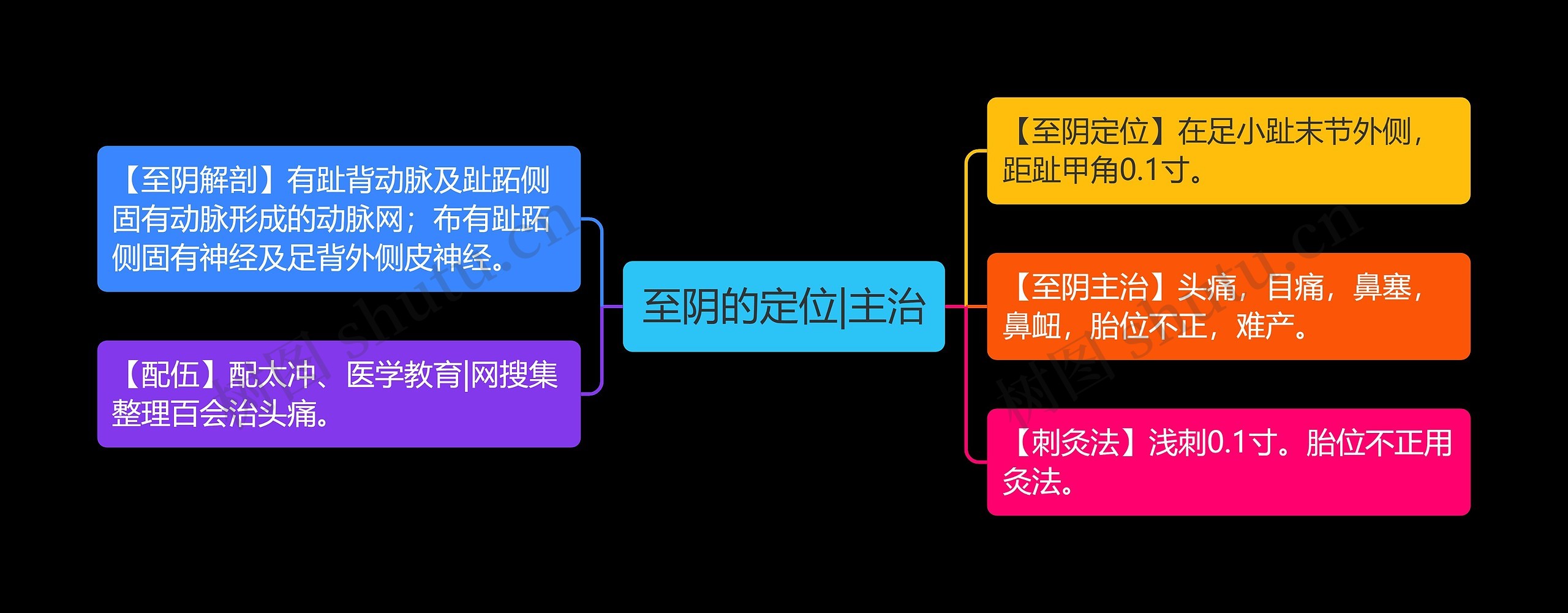 至阴的定位|主治思维导图