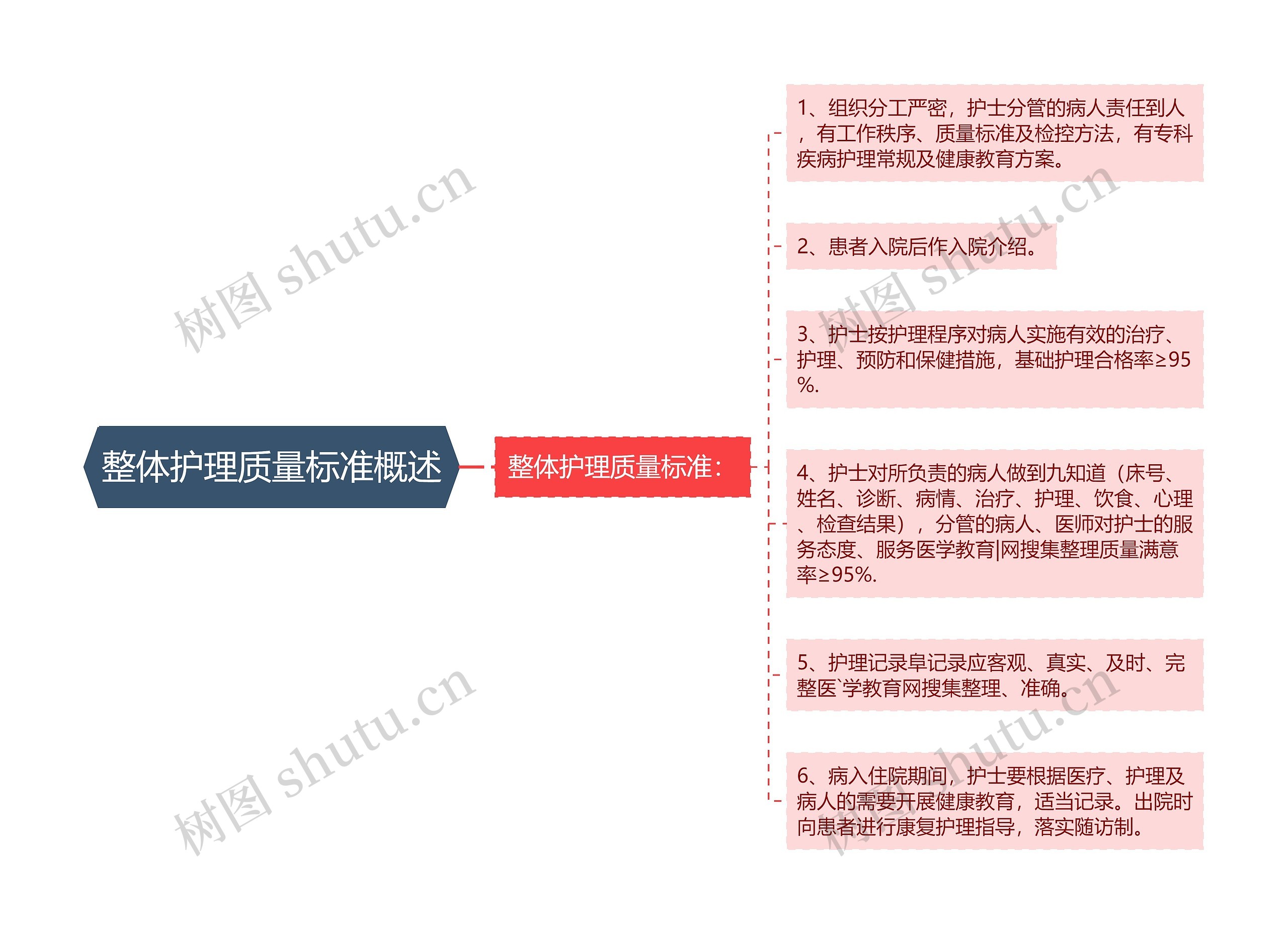 整体护理质量标准概述