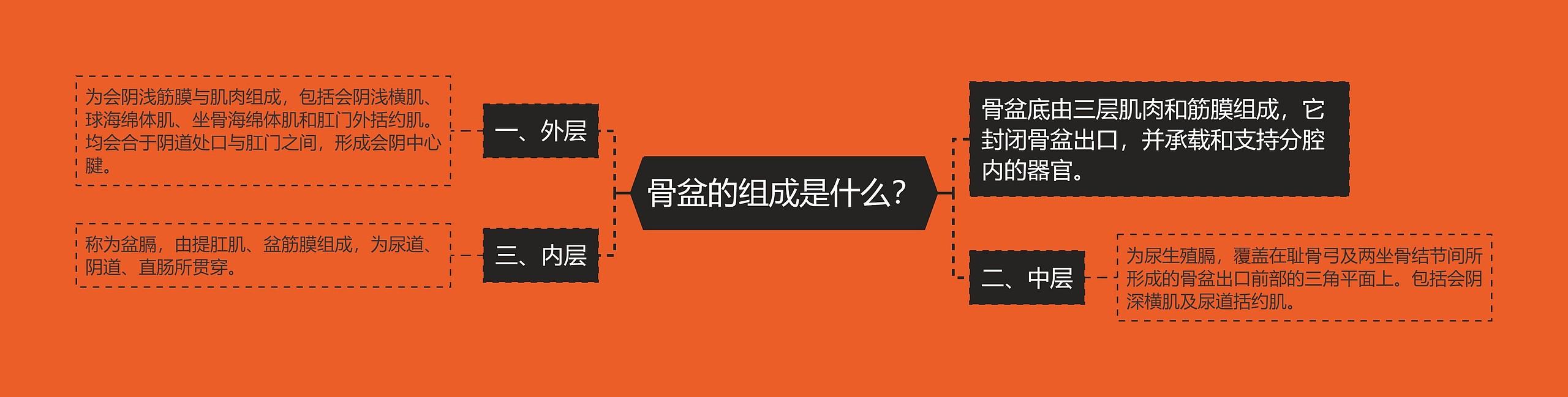 骨盆的组成是什么？思维导图