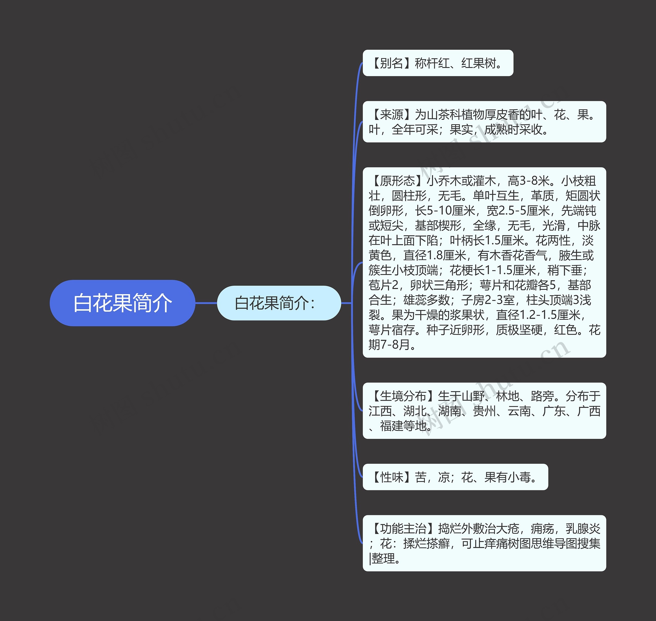 白花果简介思维导图