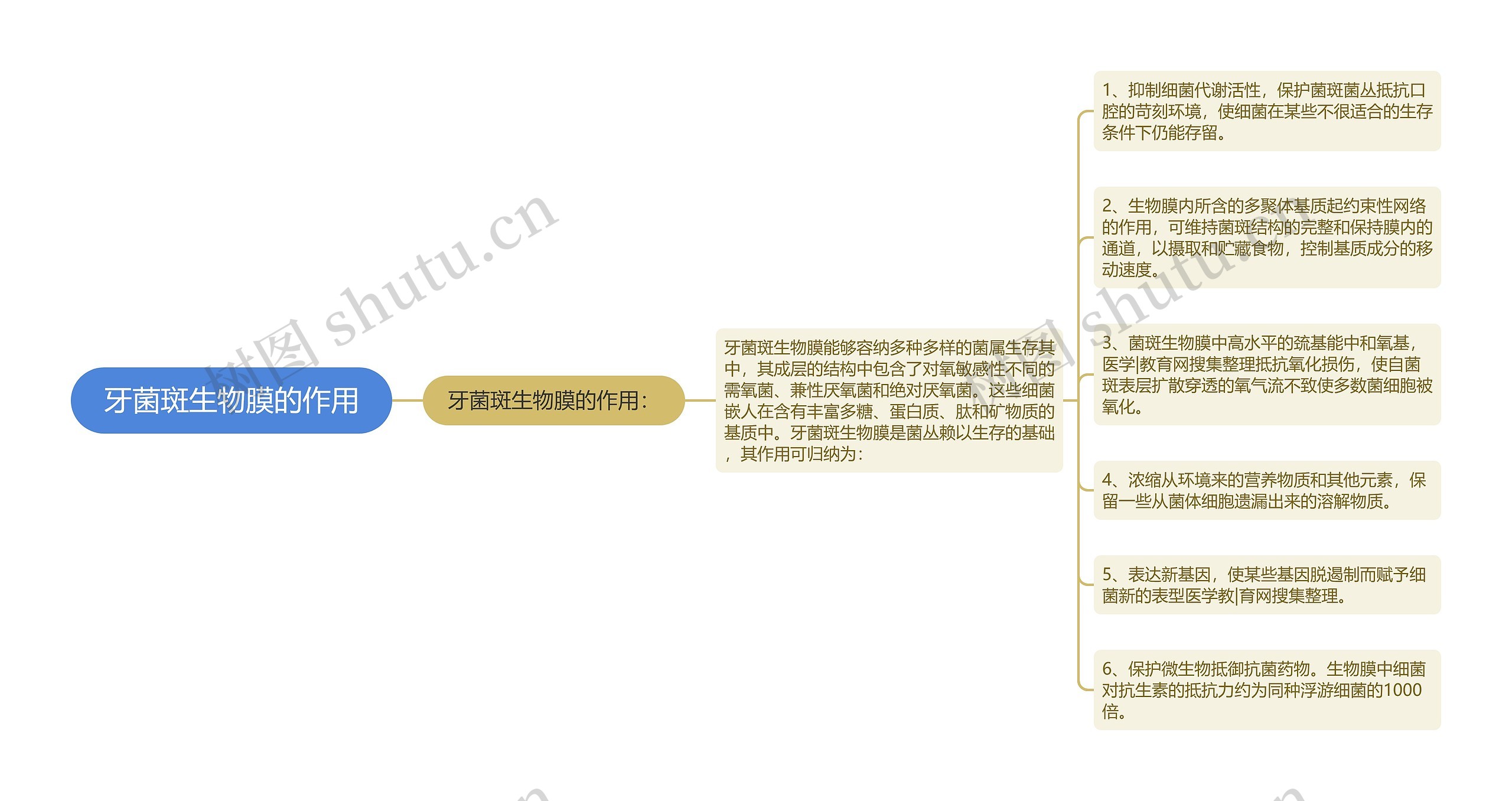 牙菌斑生物膜的作用思维导图