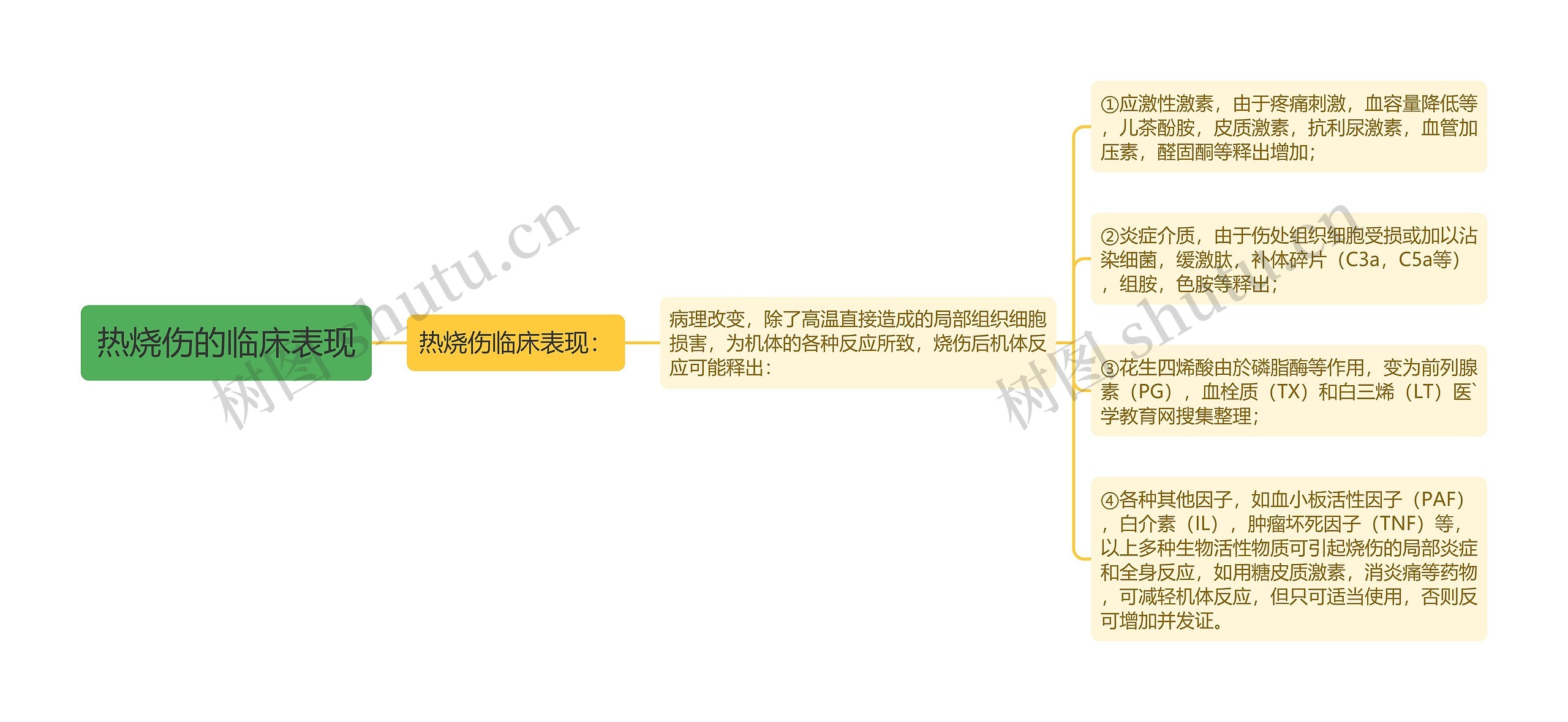 热烧伤的临床表现