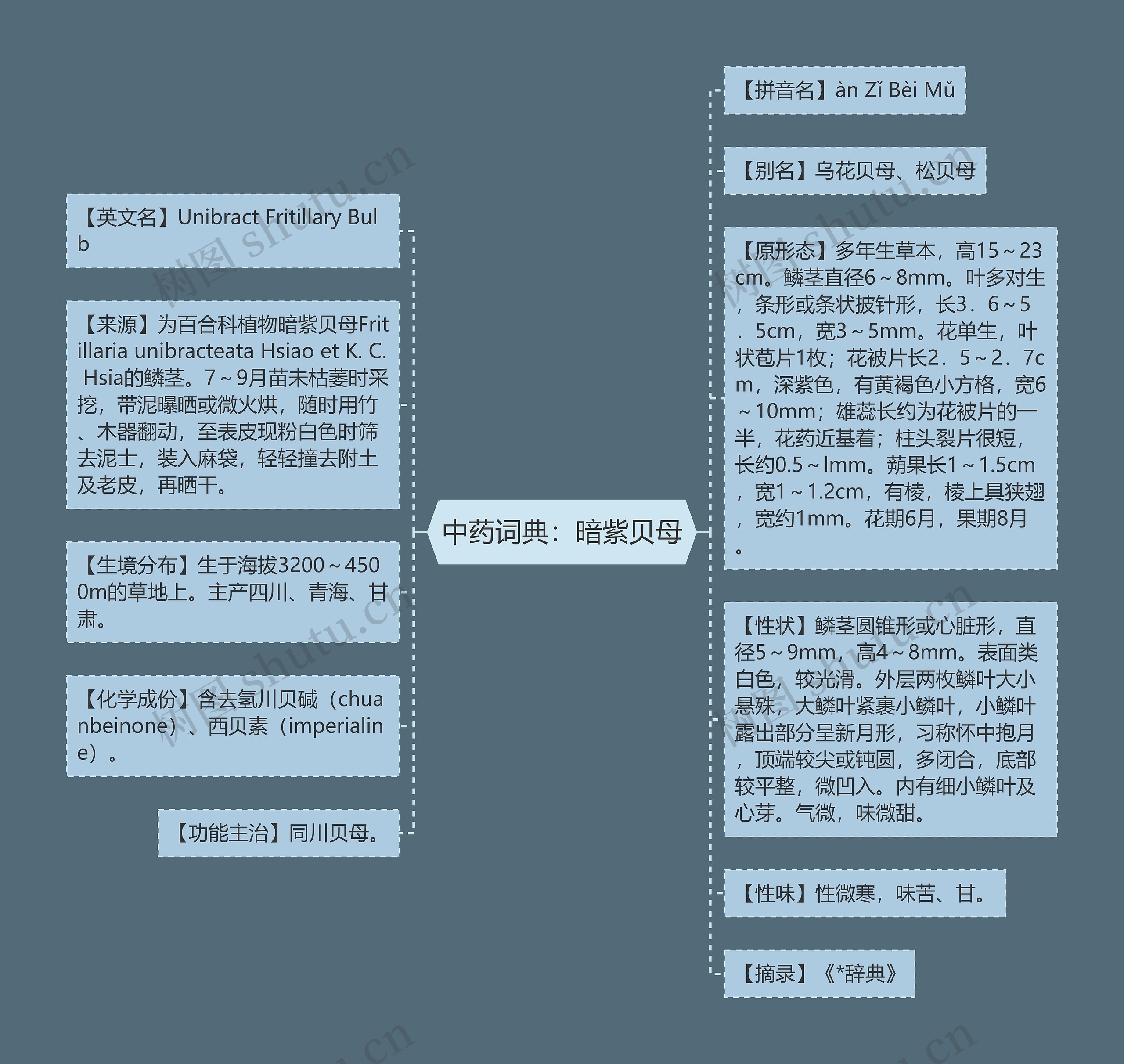 中药词典：暗紫贝母思维导图