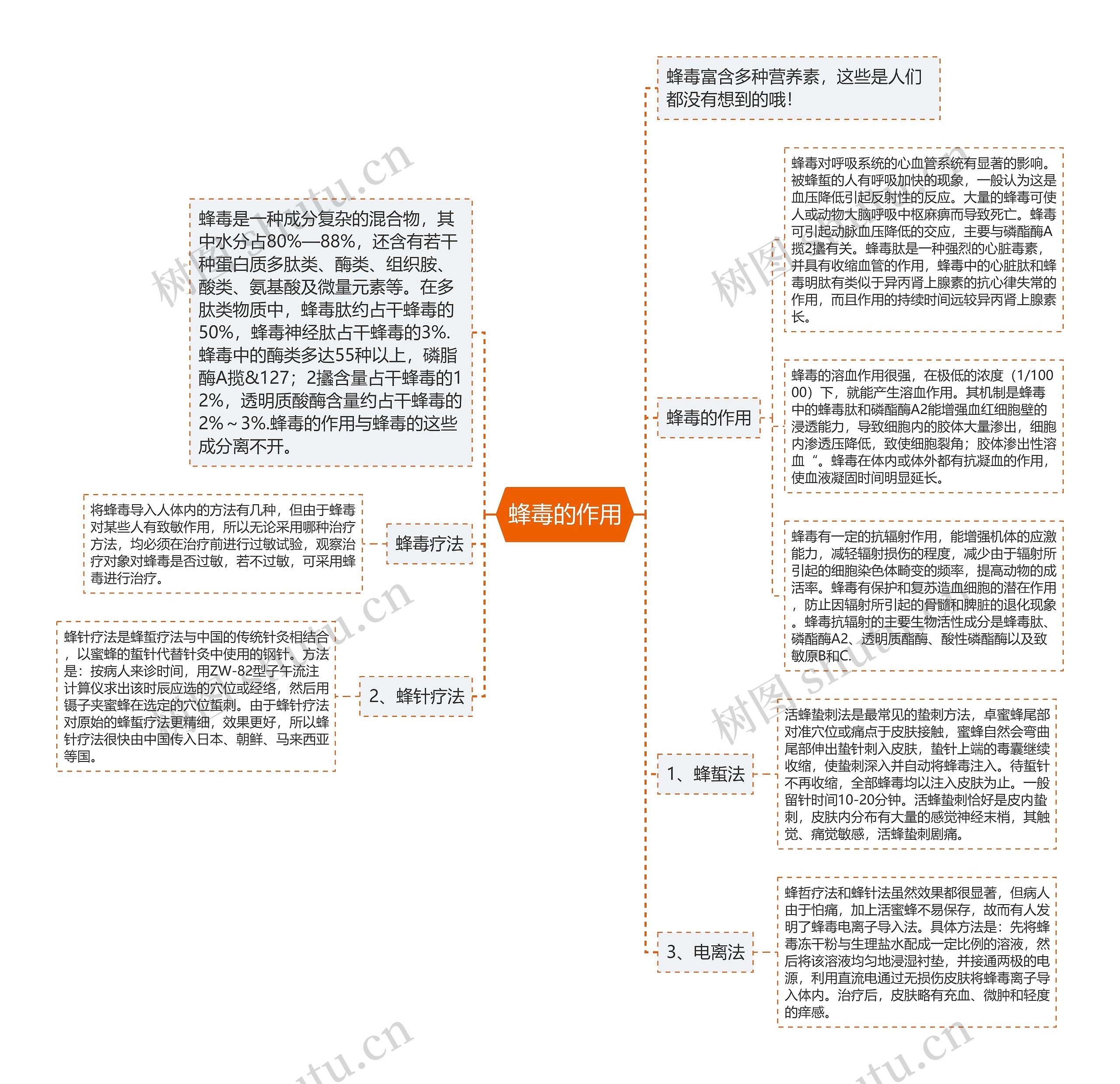 蜂毒的作用思维导图