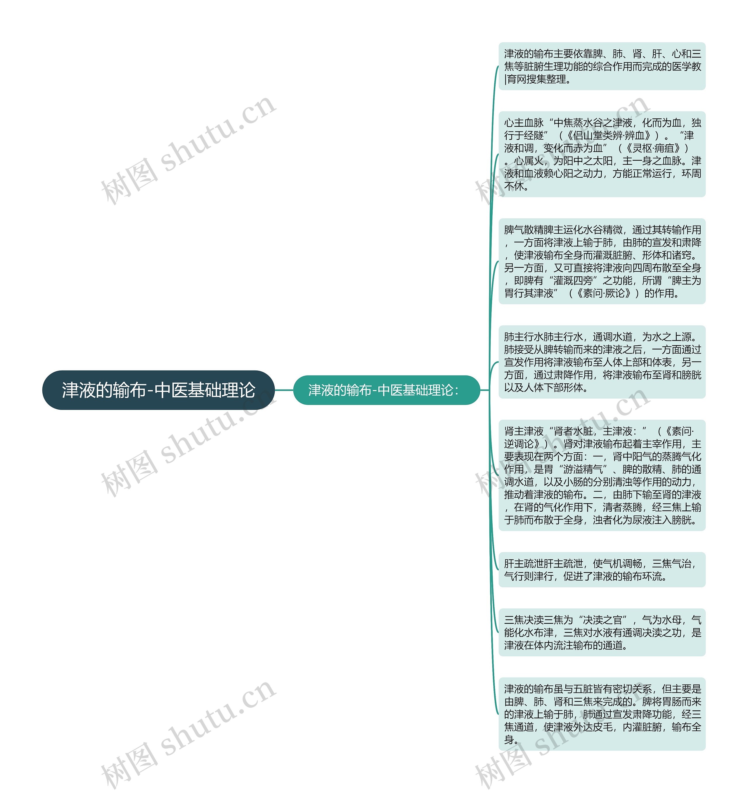 津液的输布-中医基础理论