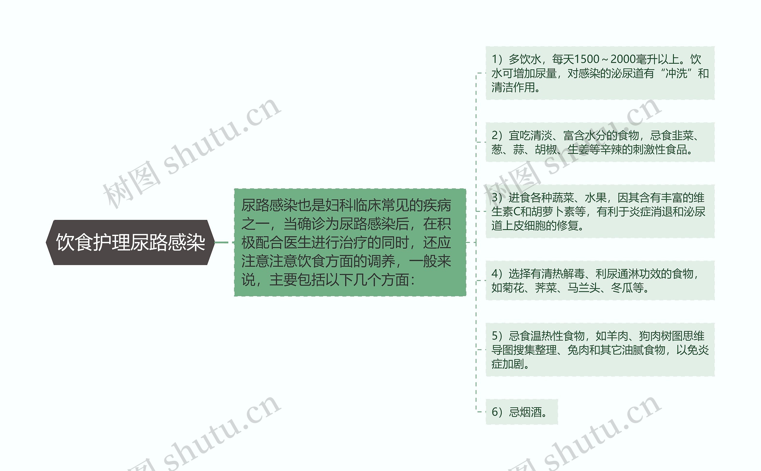 饮食护理尿路感染思维导图