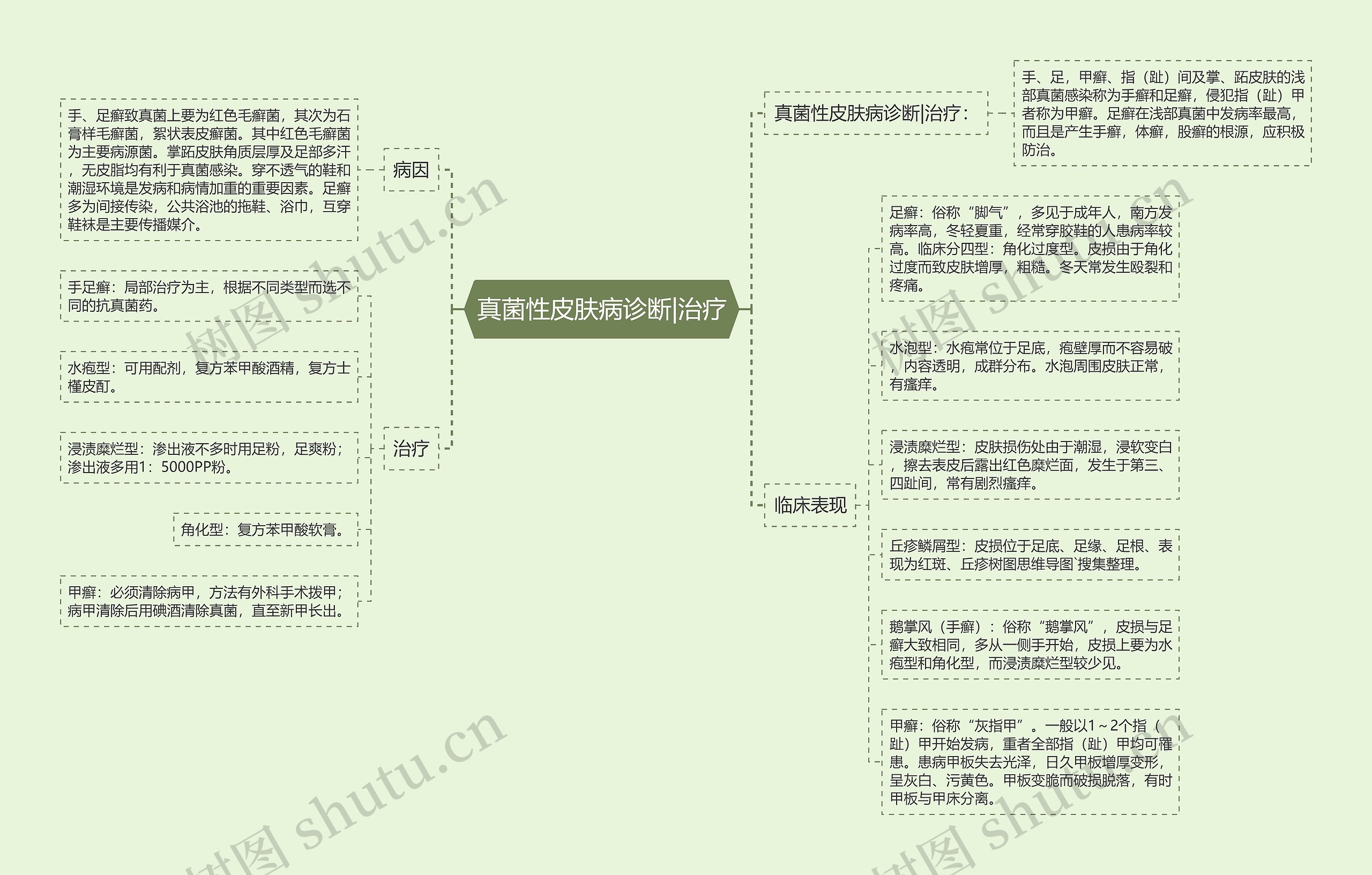 真菌性皮肤病诊断|治疗