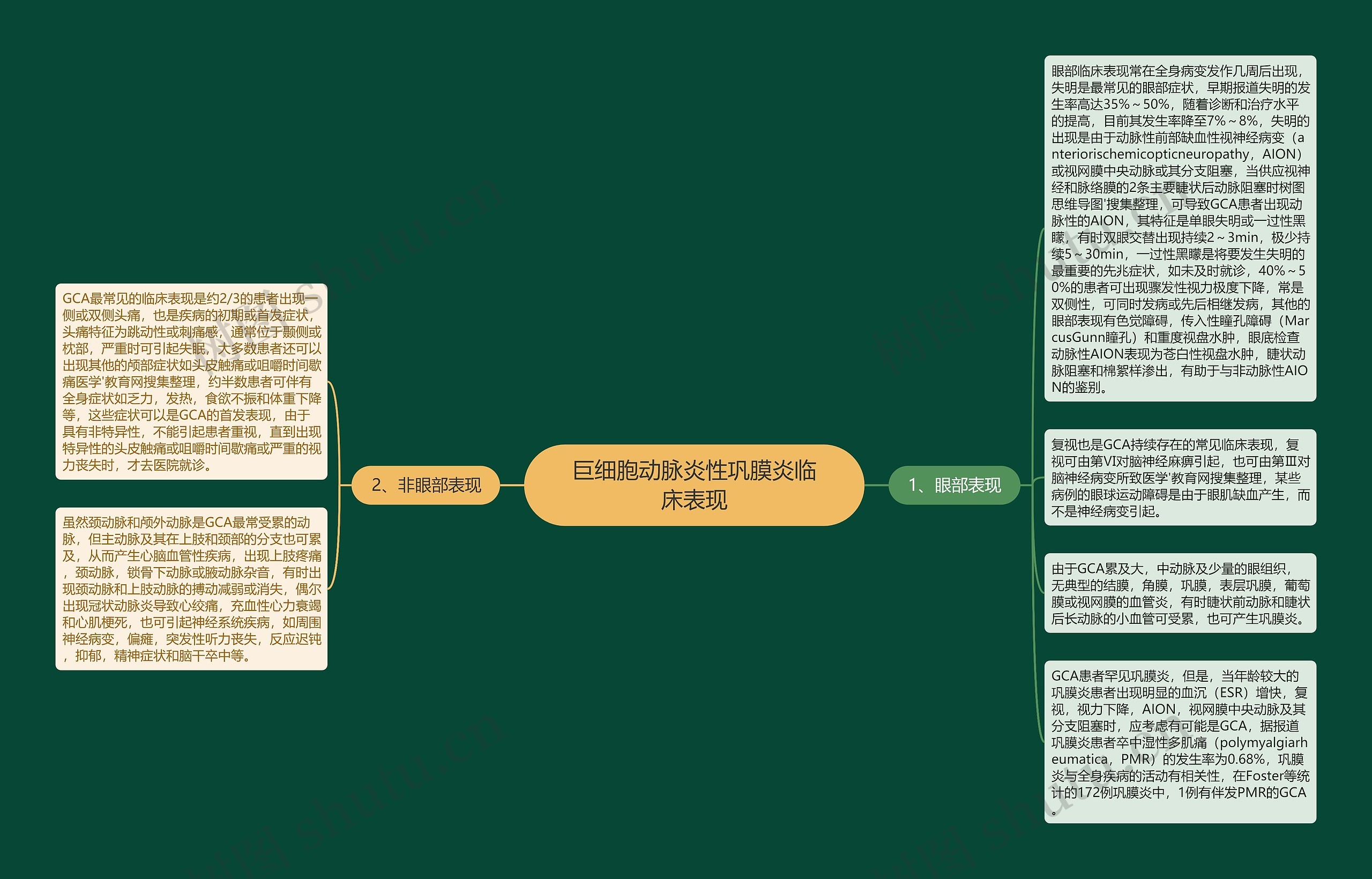 巨细胞动脉炎性巩膜炎临床表现