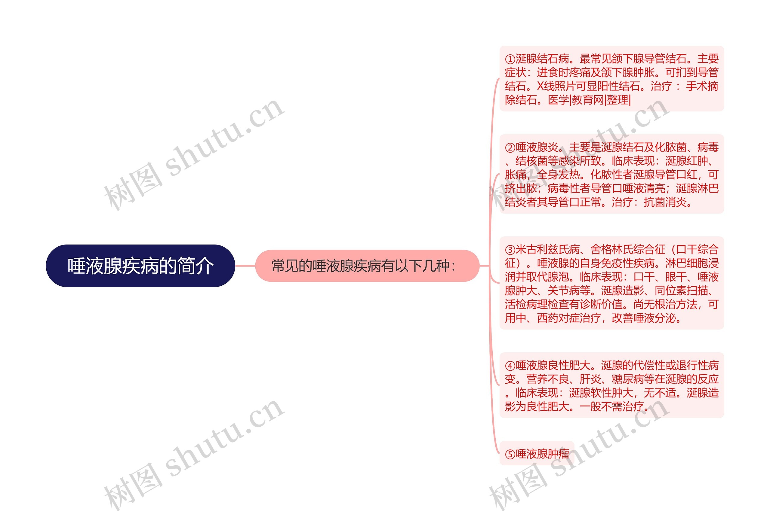 唾液腺疾病的简介