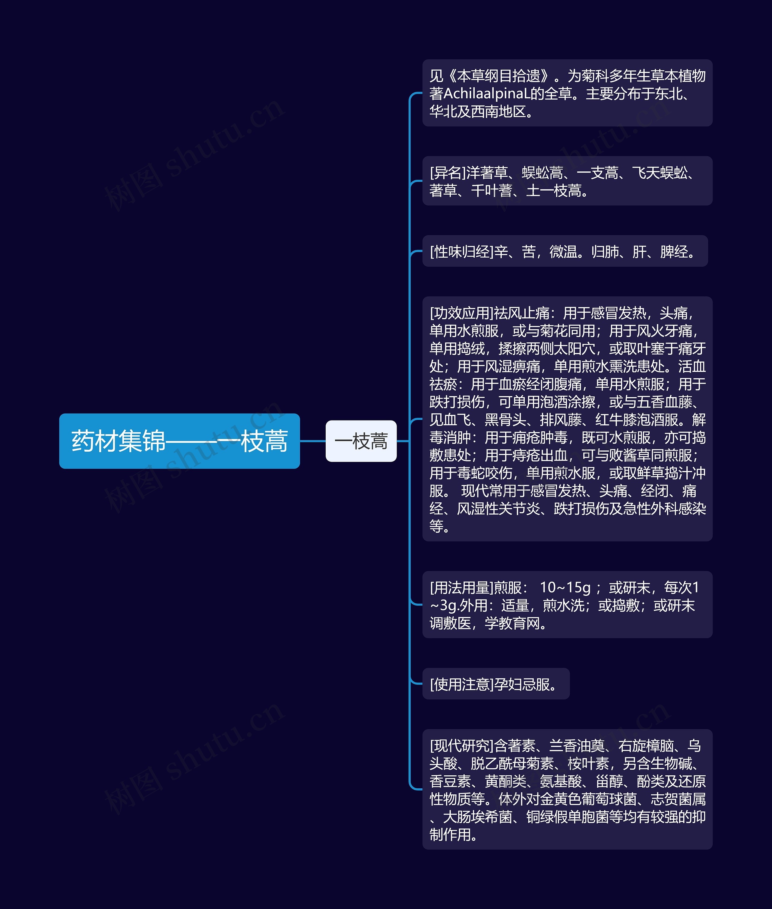 药材集锦——一枝蒿思维导图