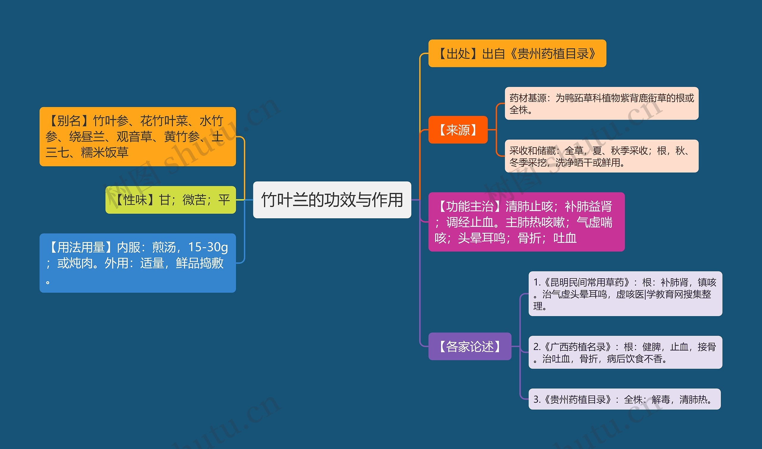 竹叶兰的功效与作用思维导图