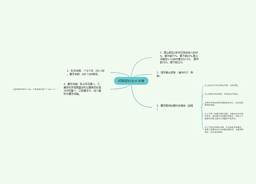 颅面部的生长发育