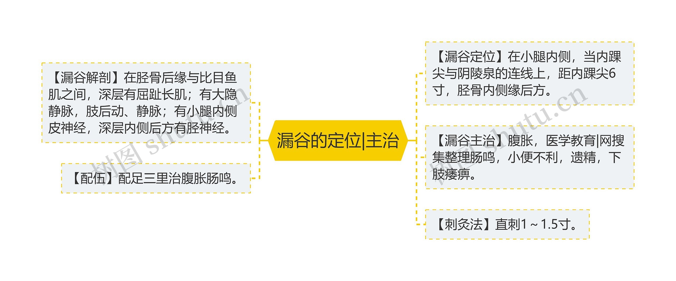 漏谷的定位|主治思维导图