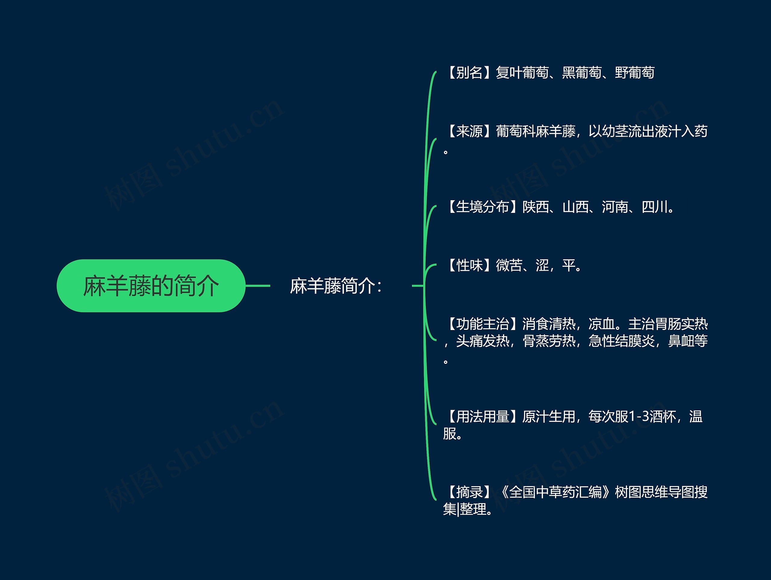 麻羊藤的简介思维导图