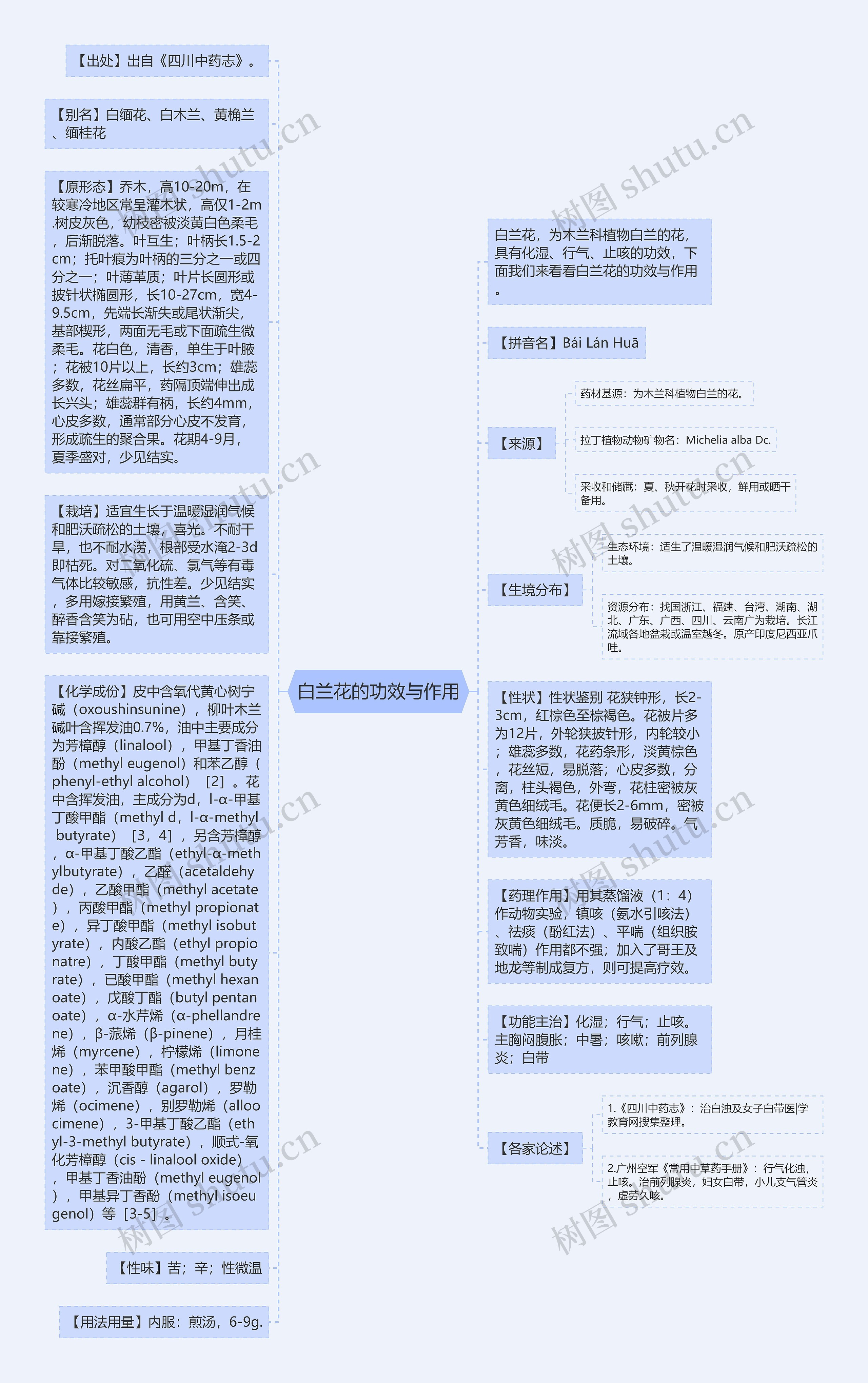 白兰花的功效与作用