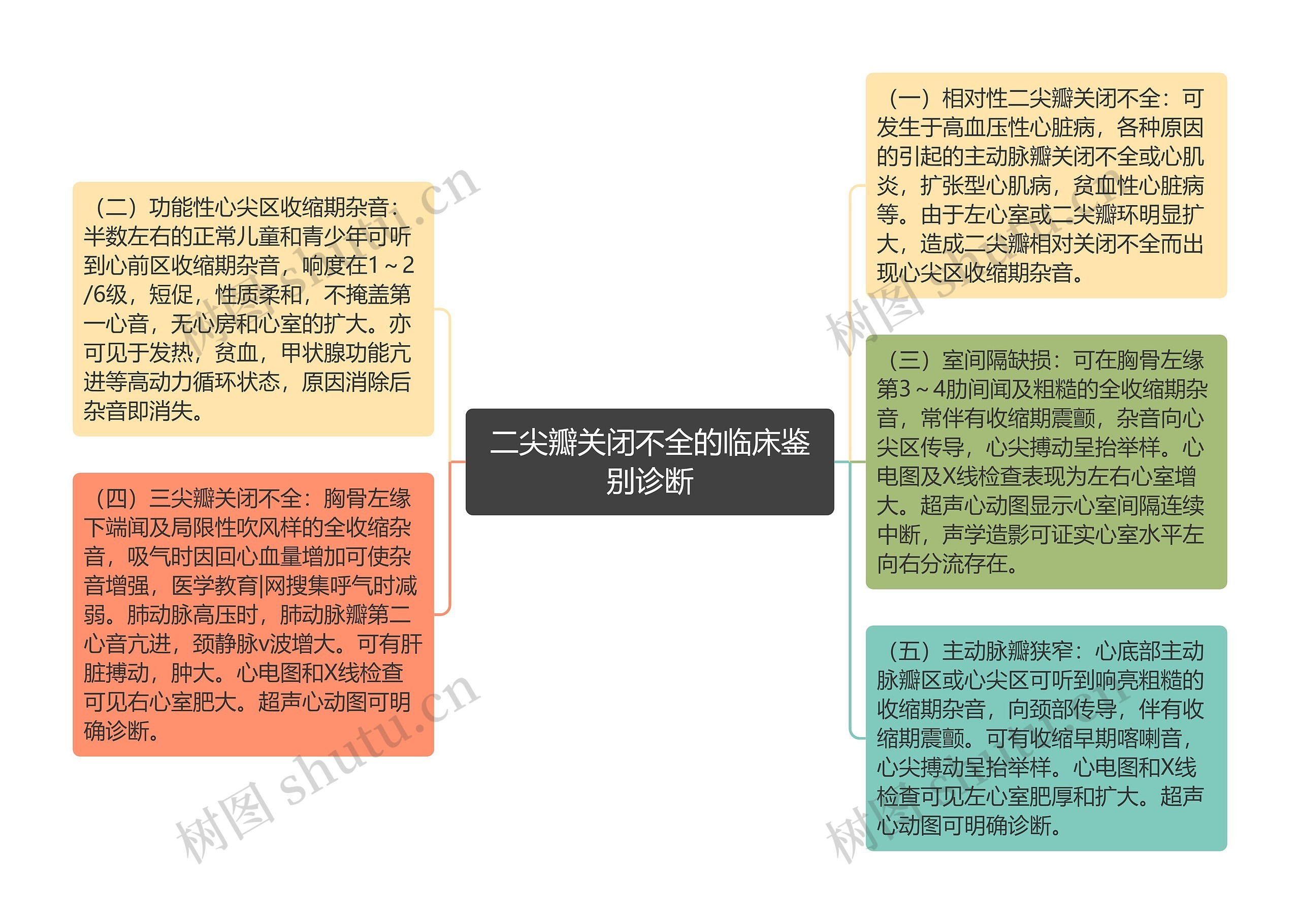 二尖瓣关闭不全的临床鉴别诊断