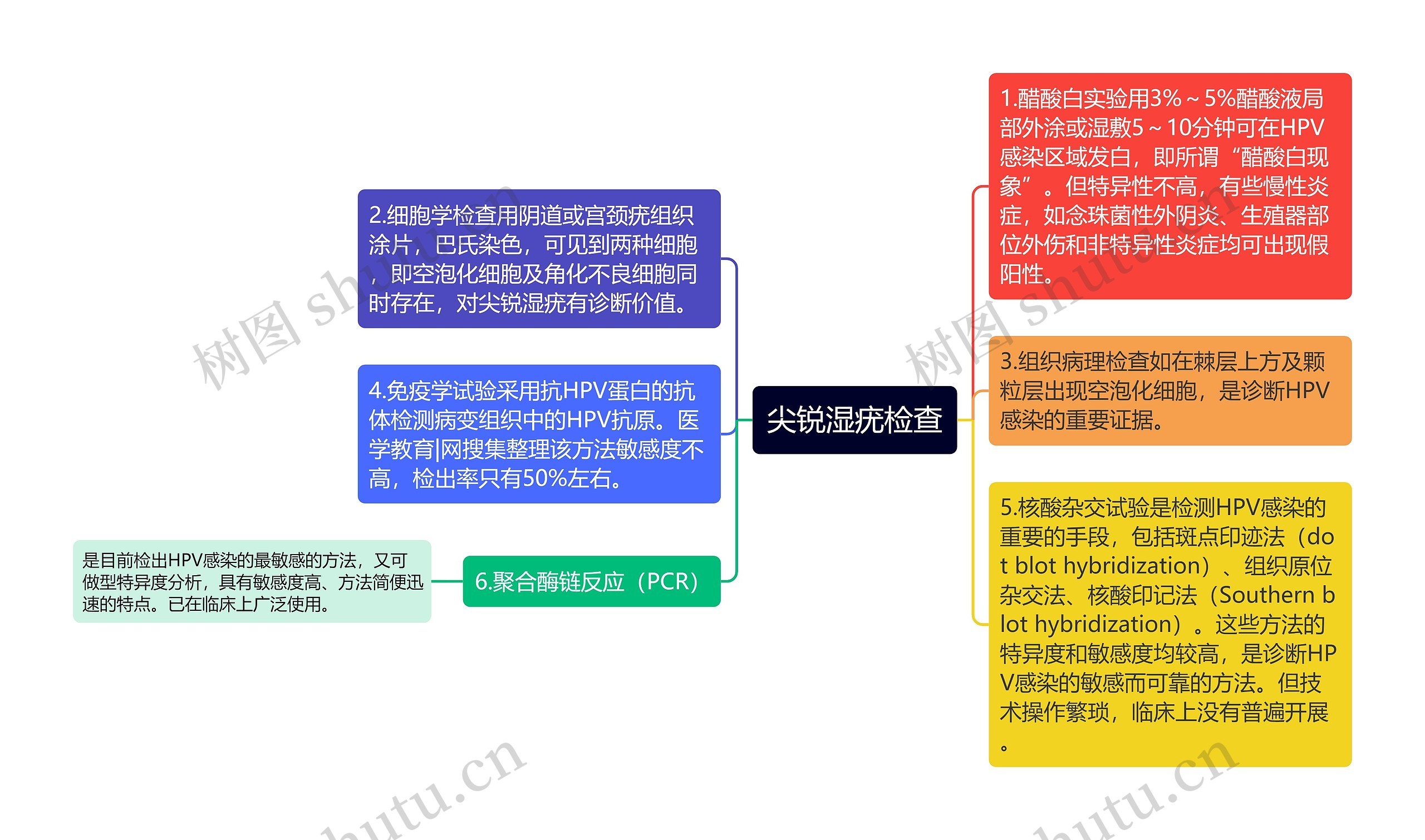 尖锐湿疣检查思维导图