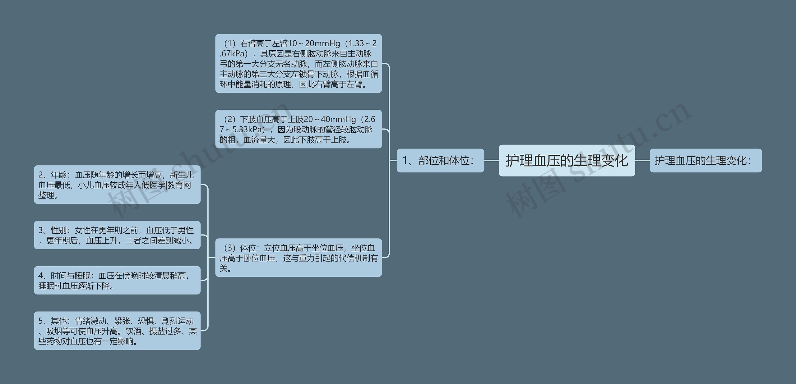 护理血压的生理变化