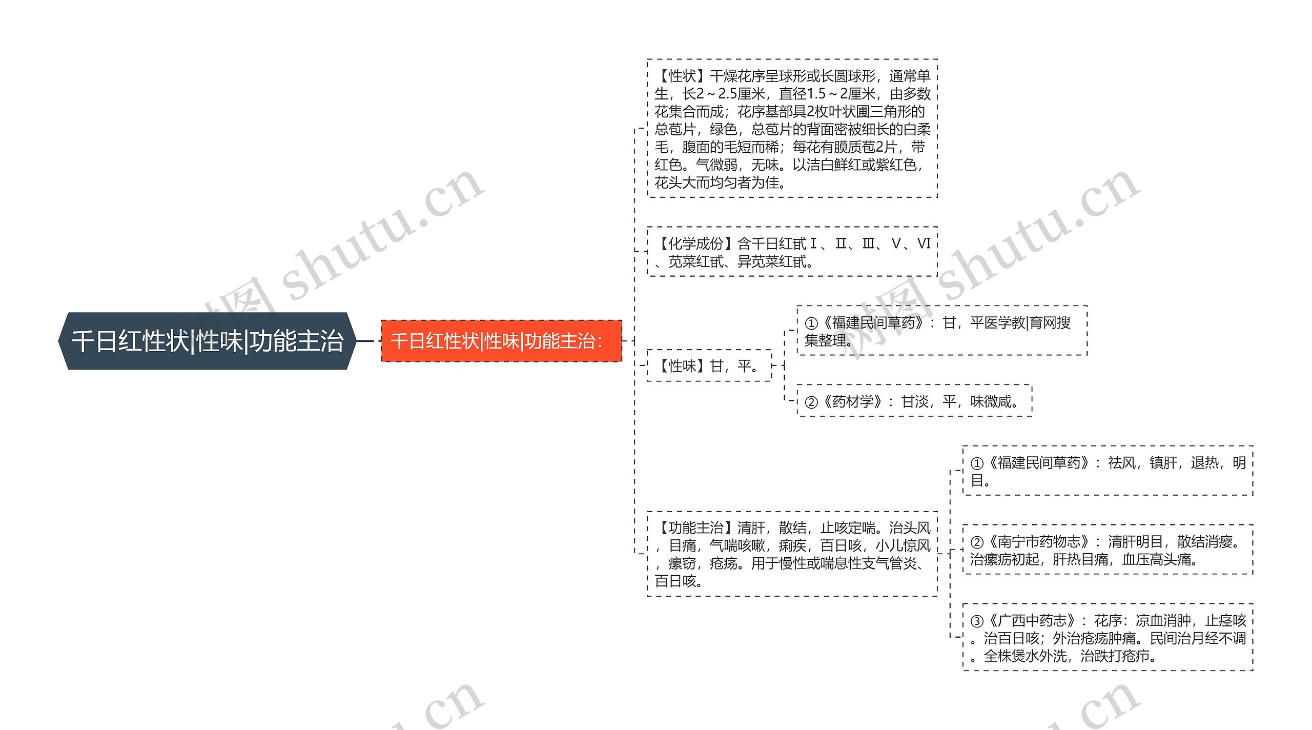 千日红性状|性味|功能主治思维导图