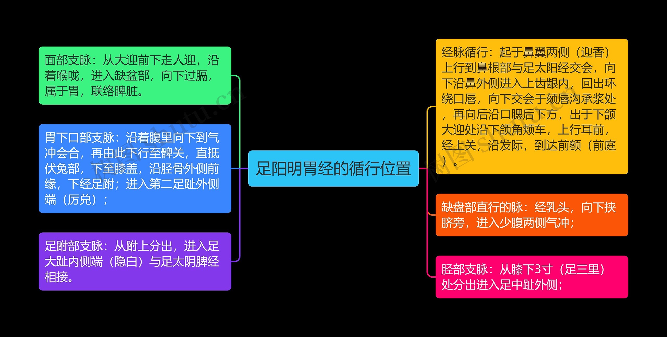 足阳明胃经的循行位置思维导图