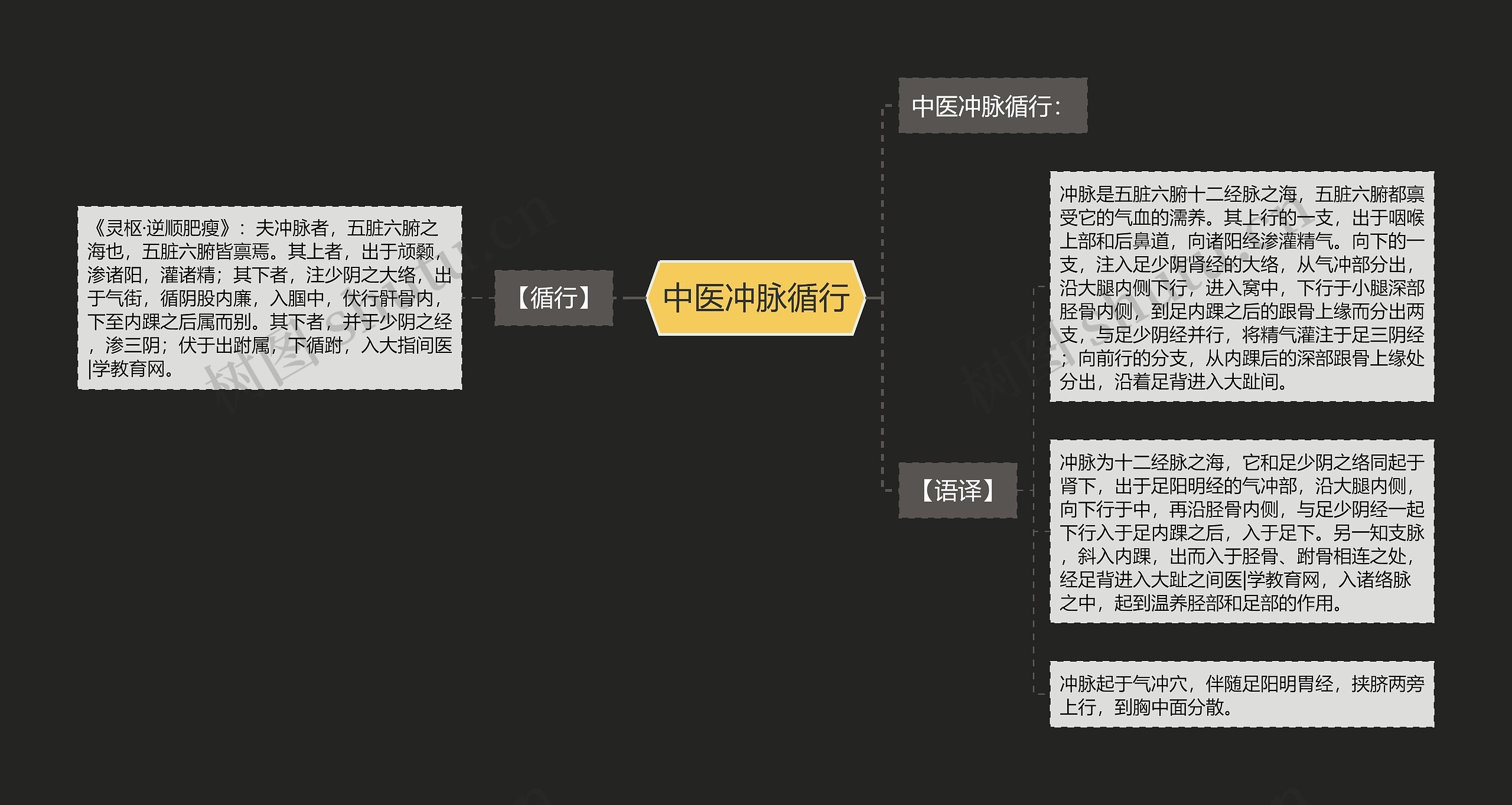 中医冲脉循行思维导图