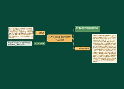 急性肾盂肾炎的实验室及其它检查