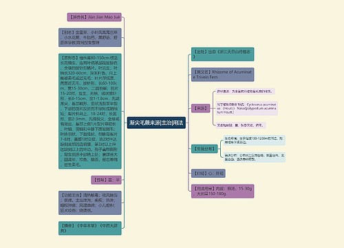 渐尖毛蕨来源|主治|用法