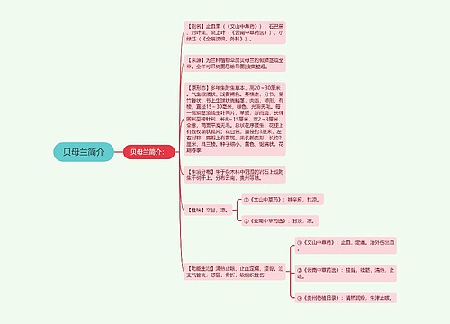 贝母兰简介