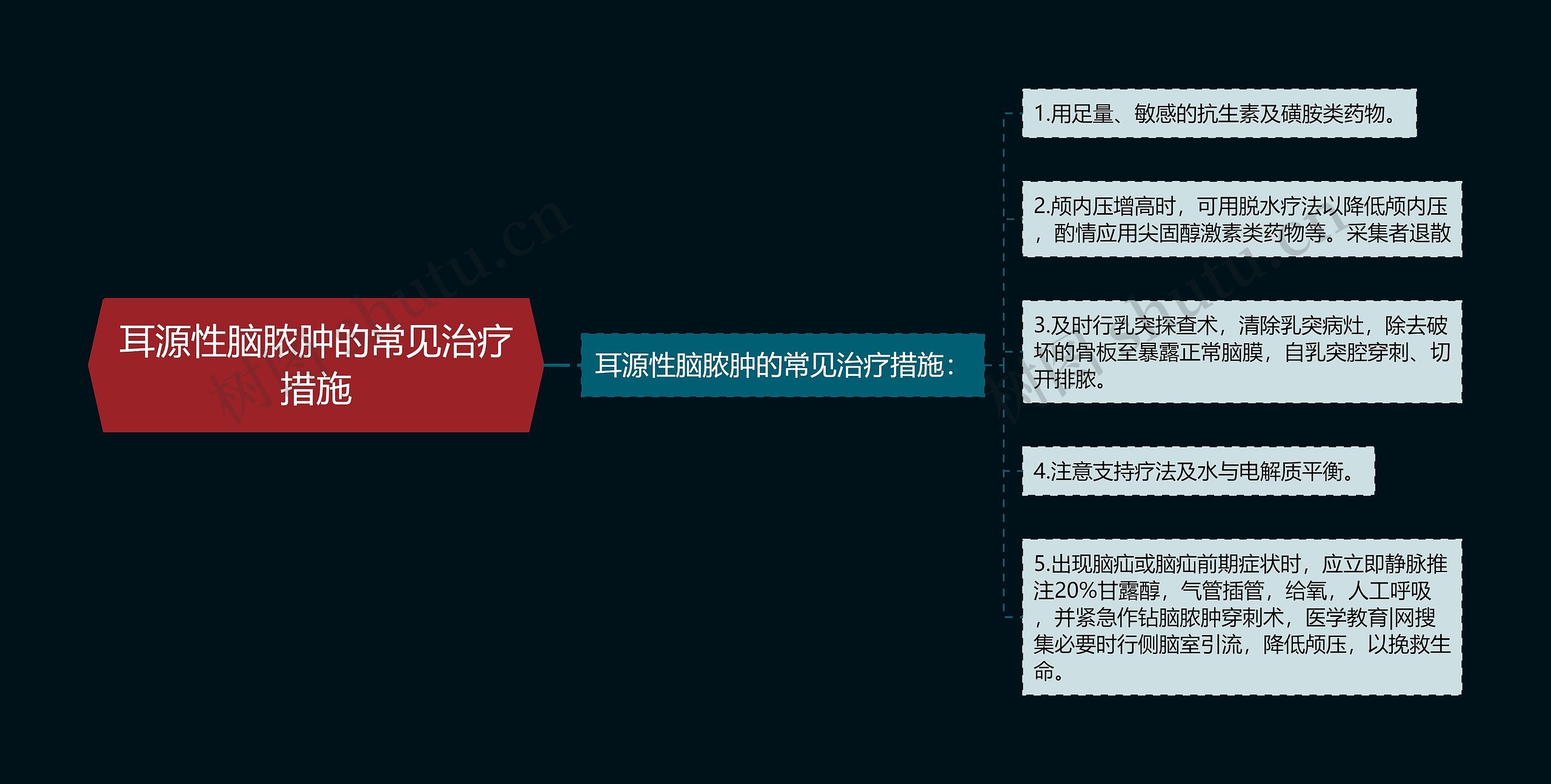 耳源性脑脓肿的常见治疗措施思维导图