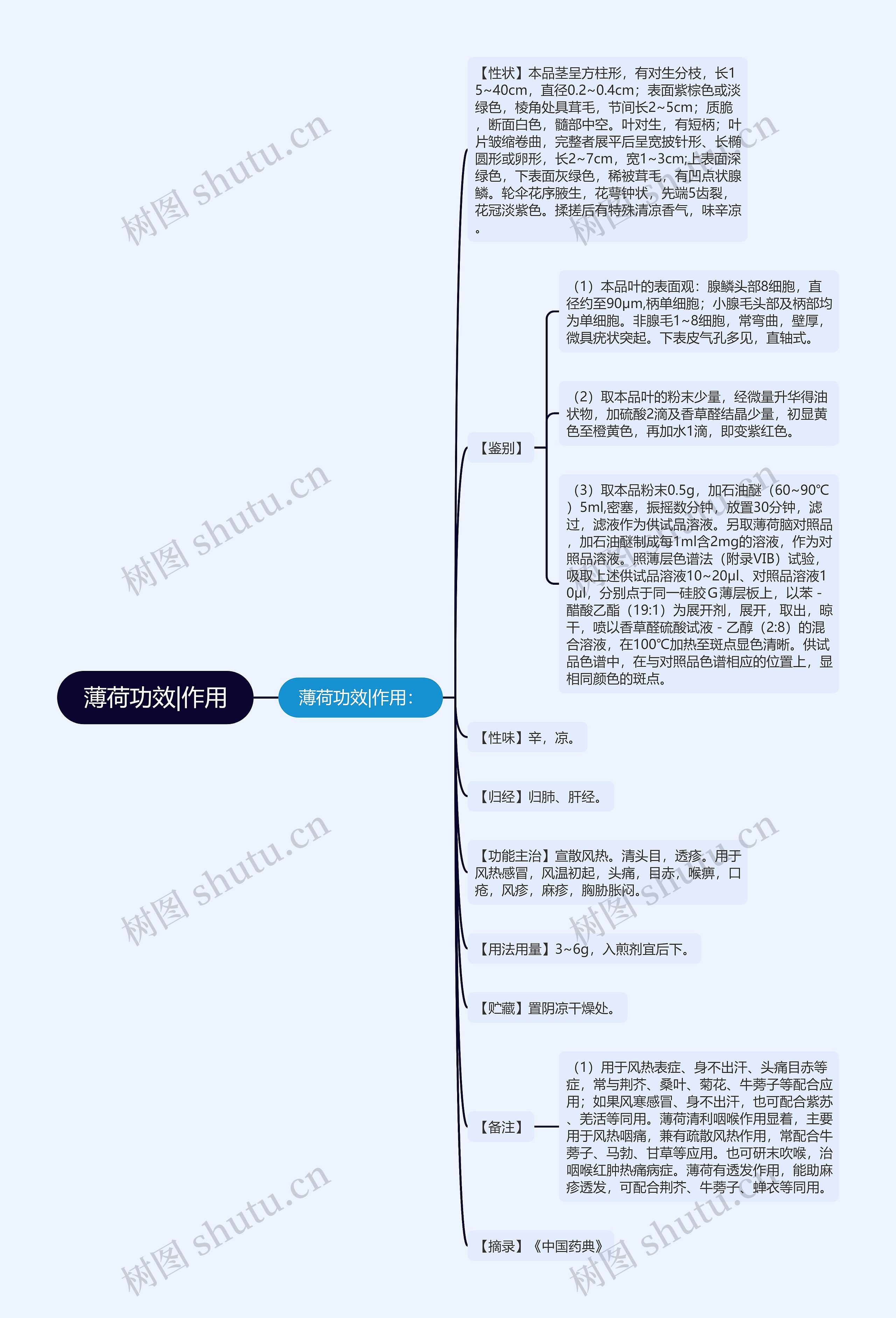 薄荷功效|作用思维导图