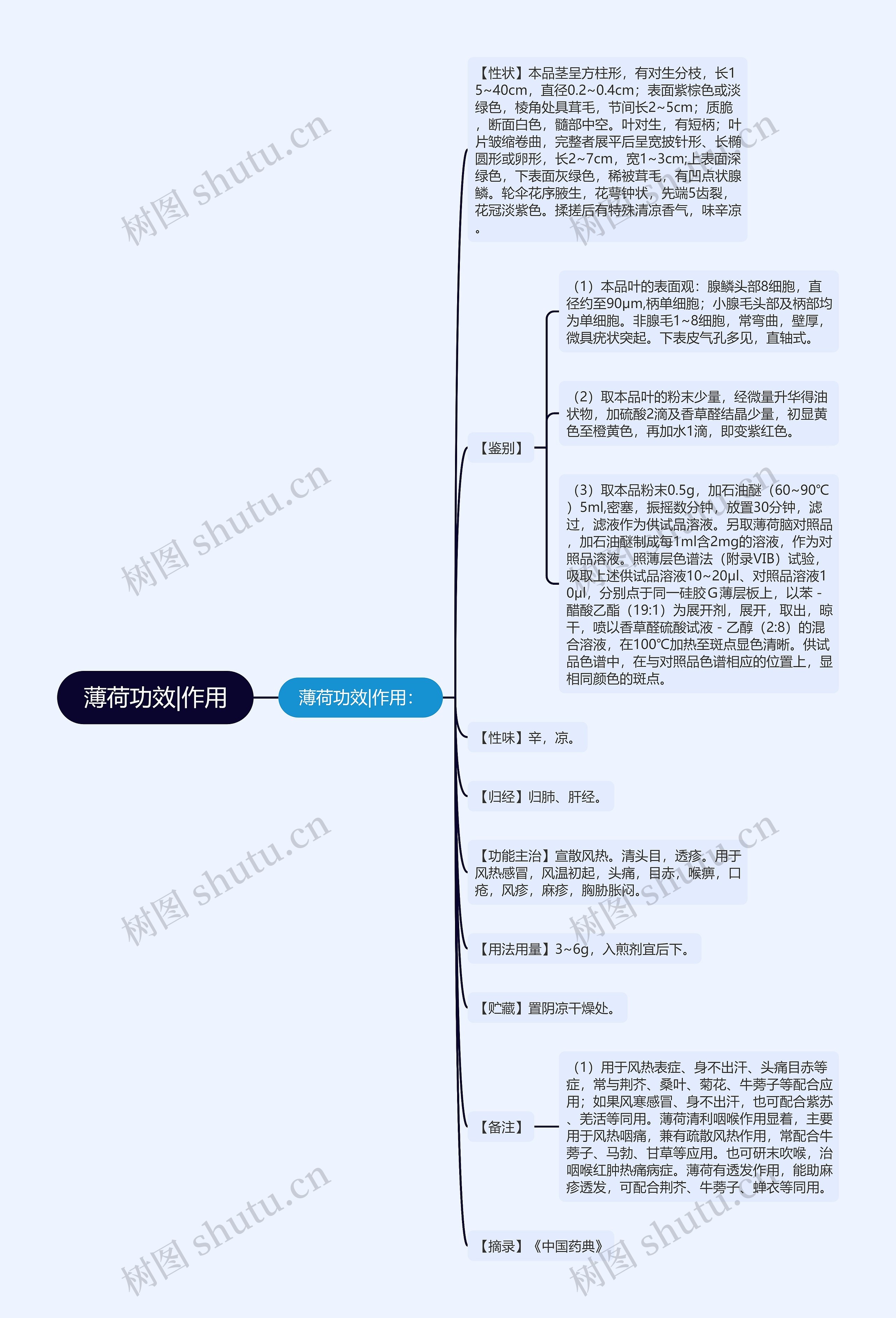 薄荷功效|作用 薄荷功效|作用