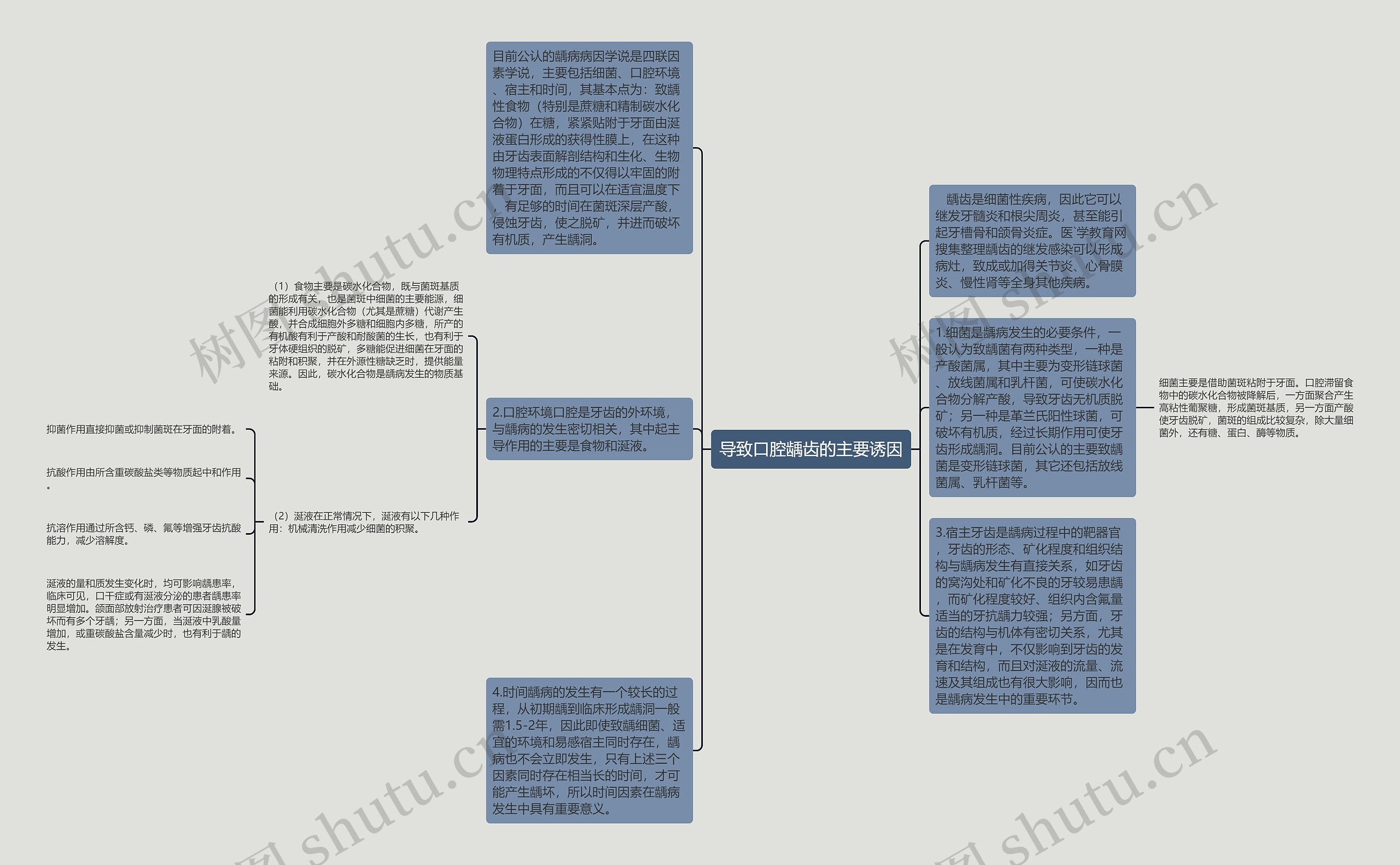 导致口腔龋齿的主要诱因思维导图